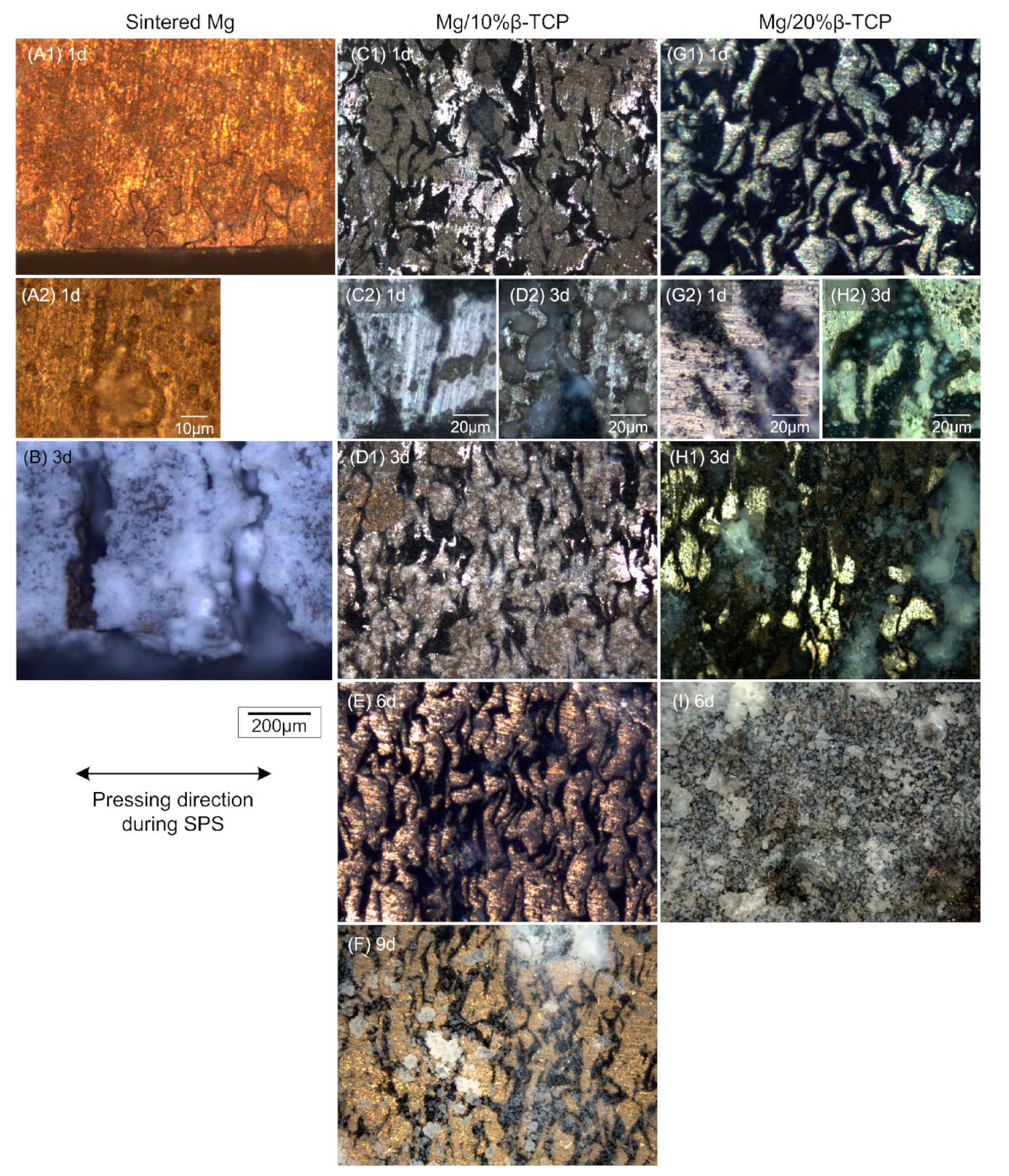 Metals 11 00227 g004 Metals 11 00227 g004