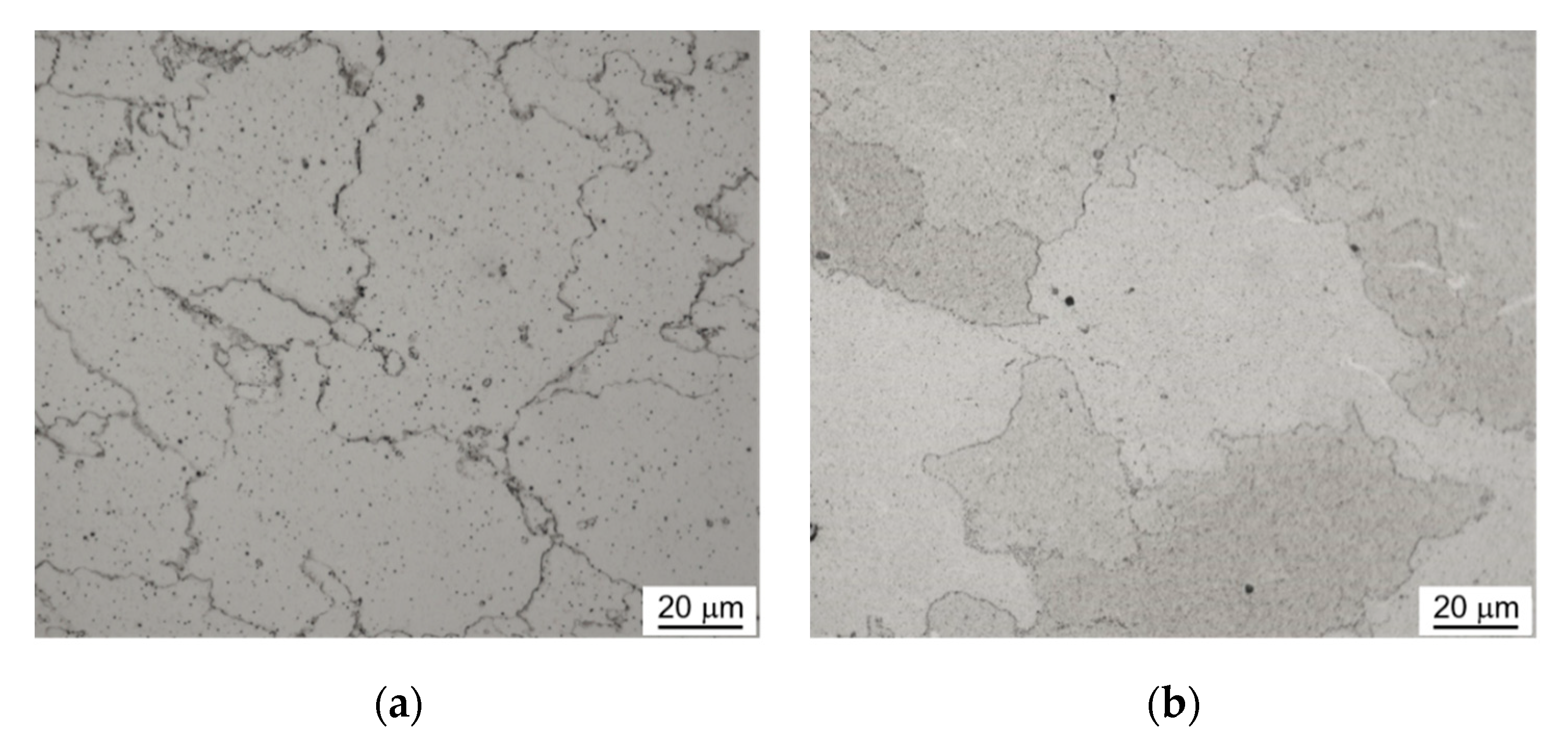 Metals 11 00228 g006 Metals 11 00228 g006