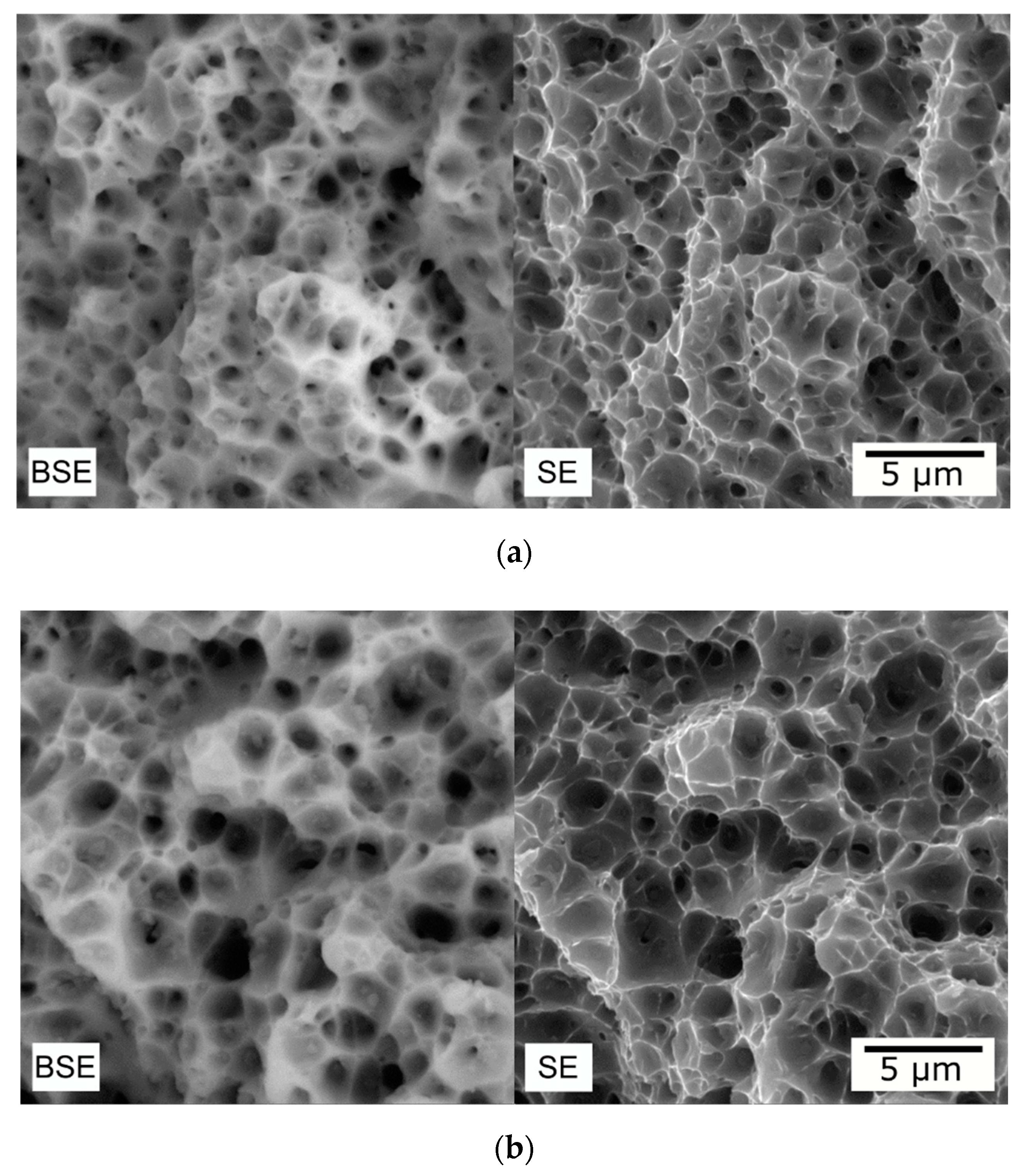 Metals 11 00236 g006 Metals 11 00236 g006