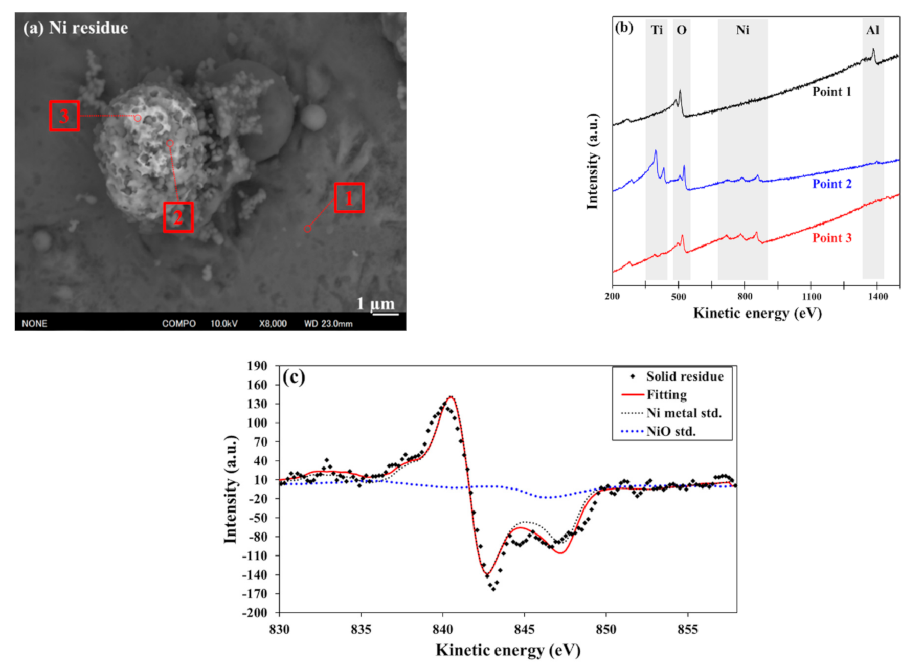 Metals 11 00248 g007