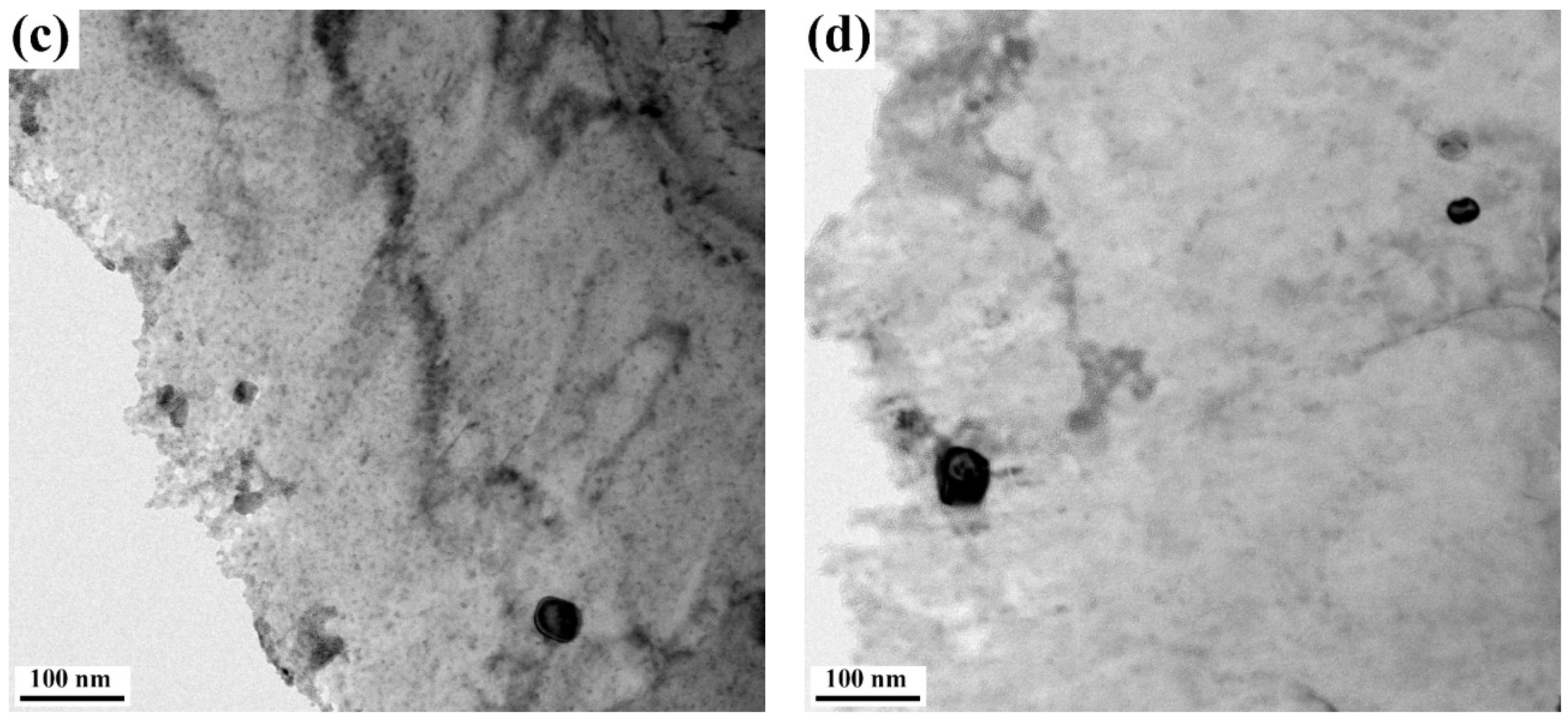 Metals 11 00251 g005b Metals 11 00251 g005b