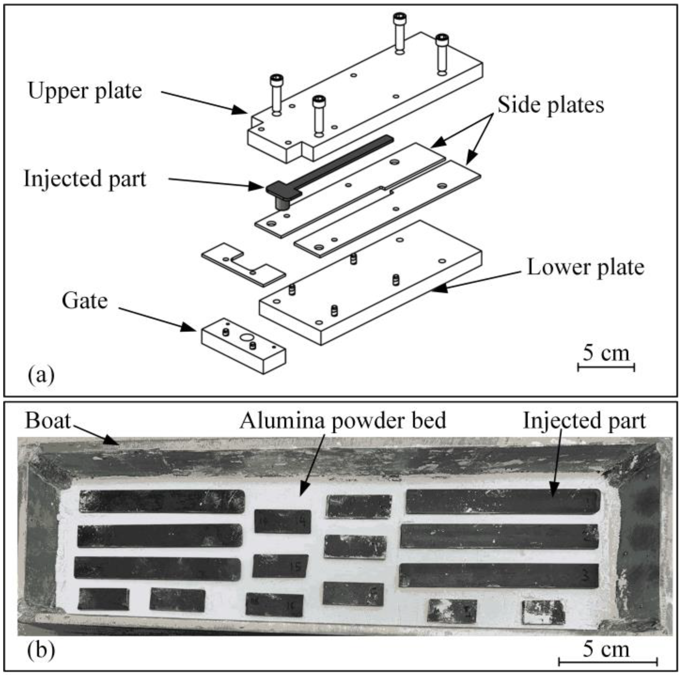 Metals 11 00264 g002