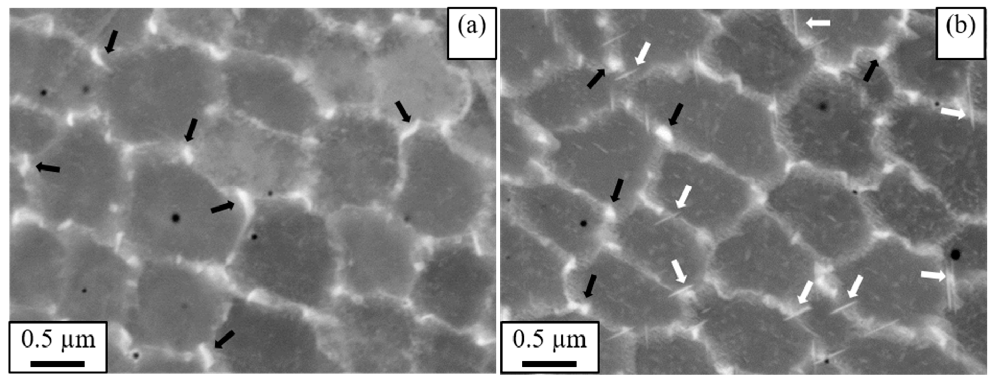 Metals 11 00266 g008 Metals 11 00266 g008