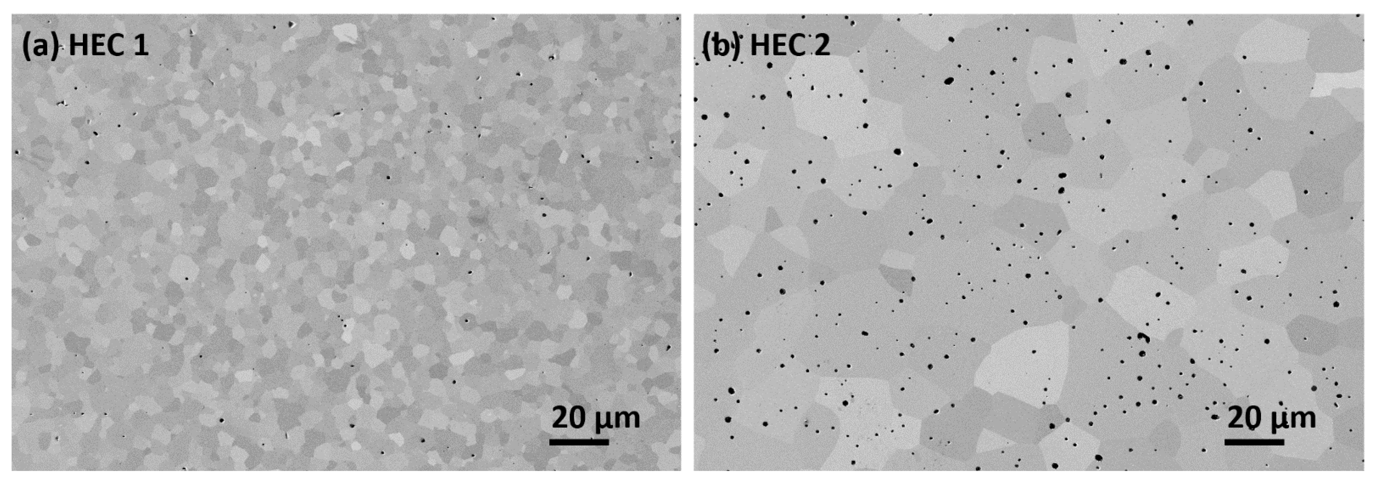 Metals 11 00271 g001 Metals 11 00271 g001