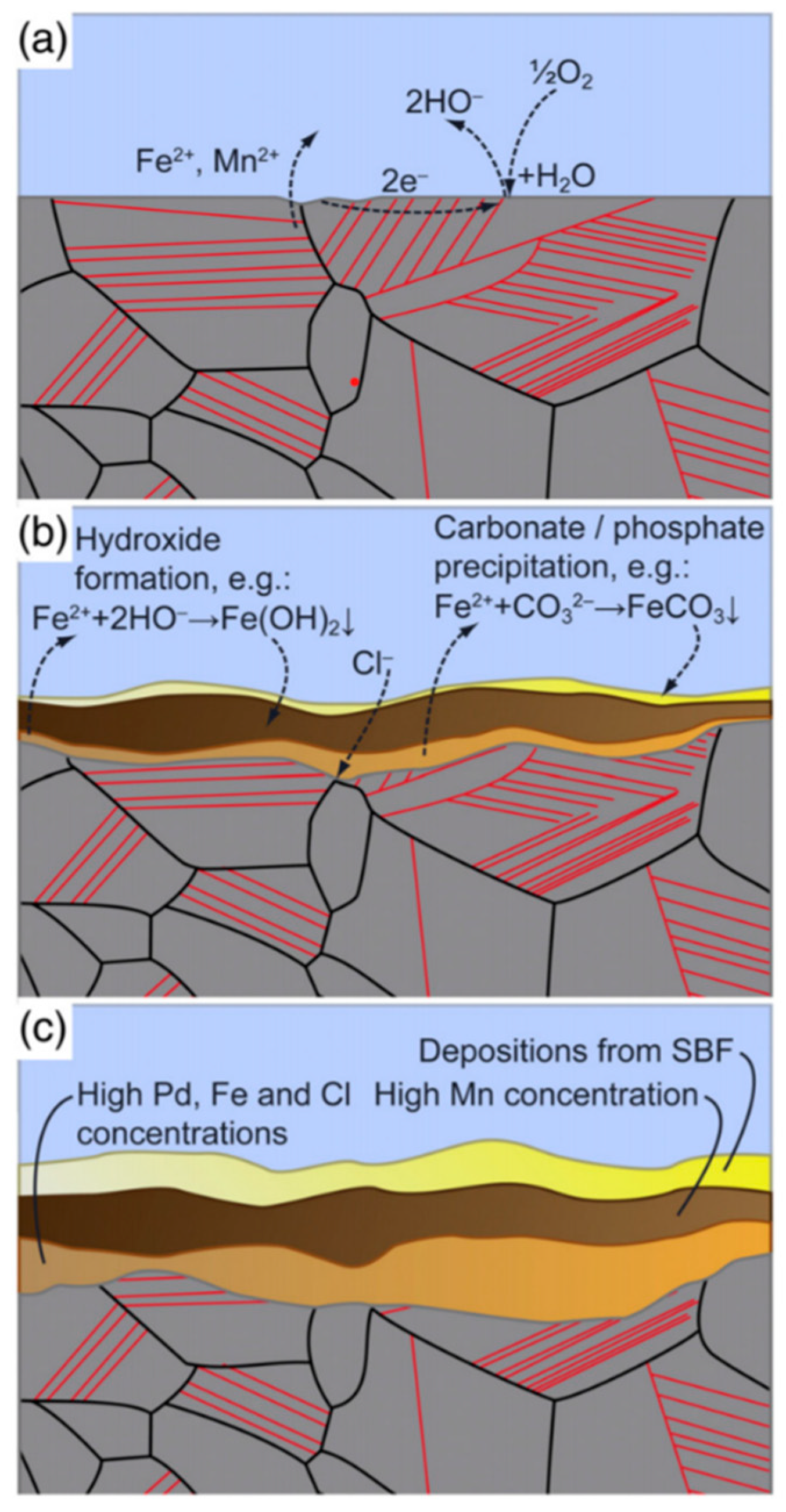 Metals 11 00287 g008