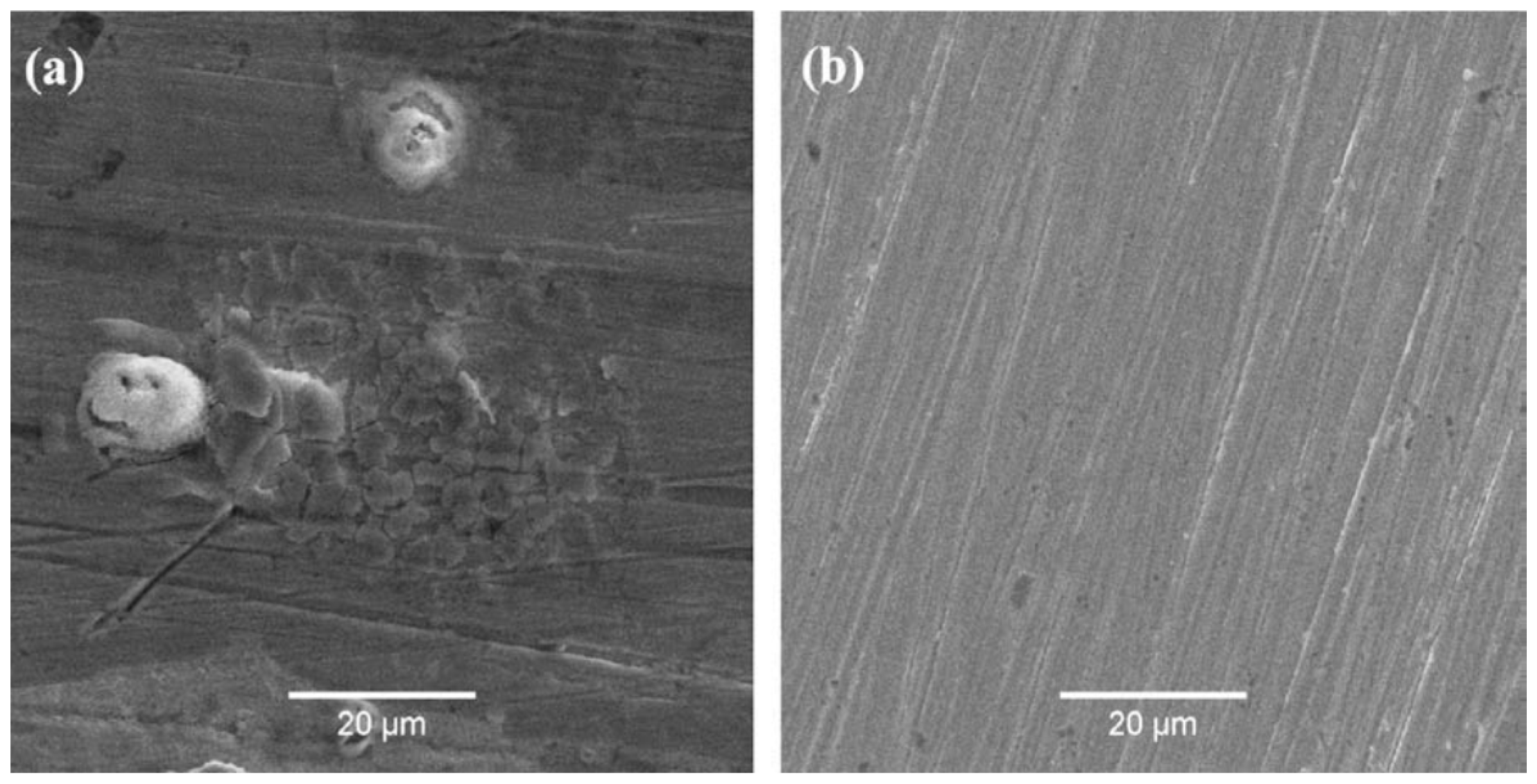 Metals 11 00287 g013