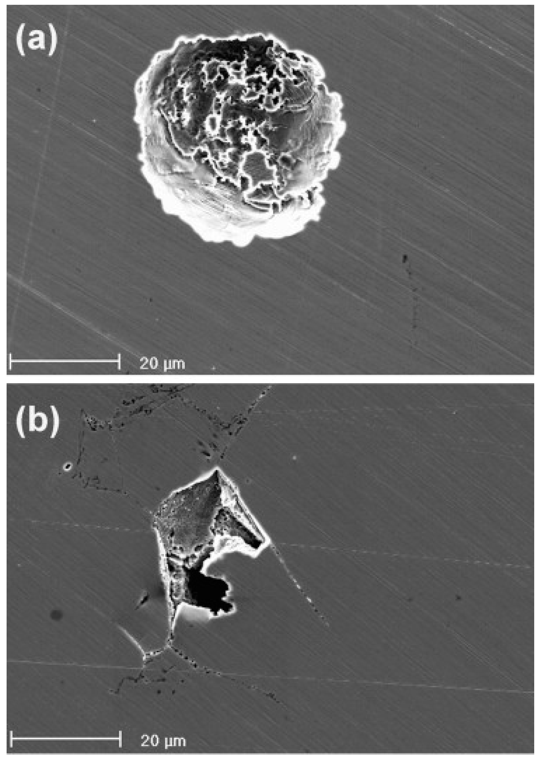 Metals 11 00287 g019