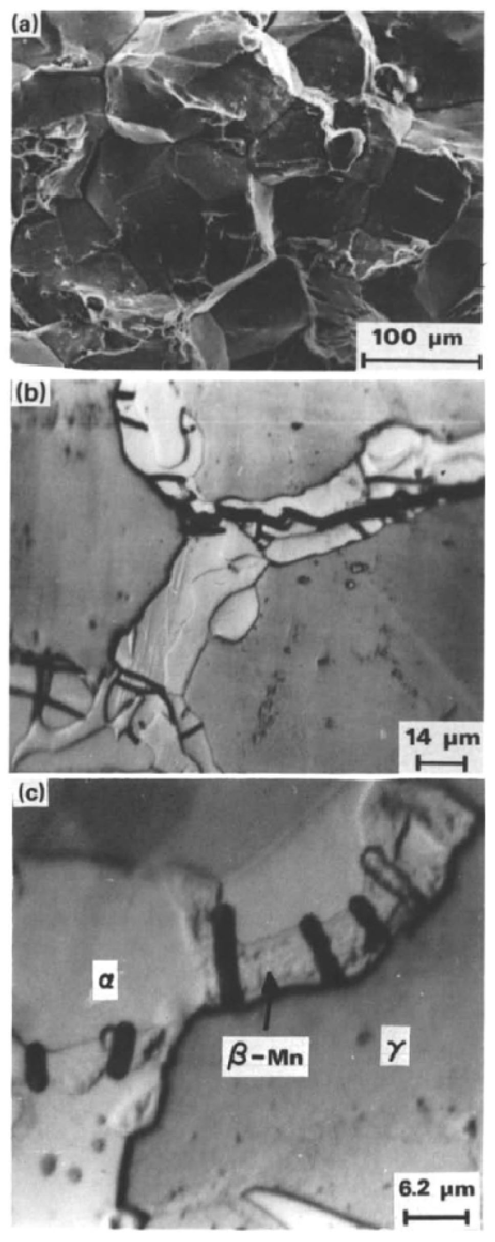 Metals 11 00287 g023