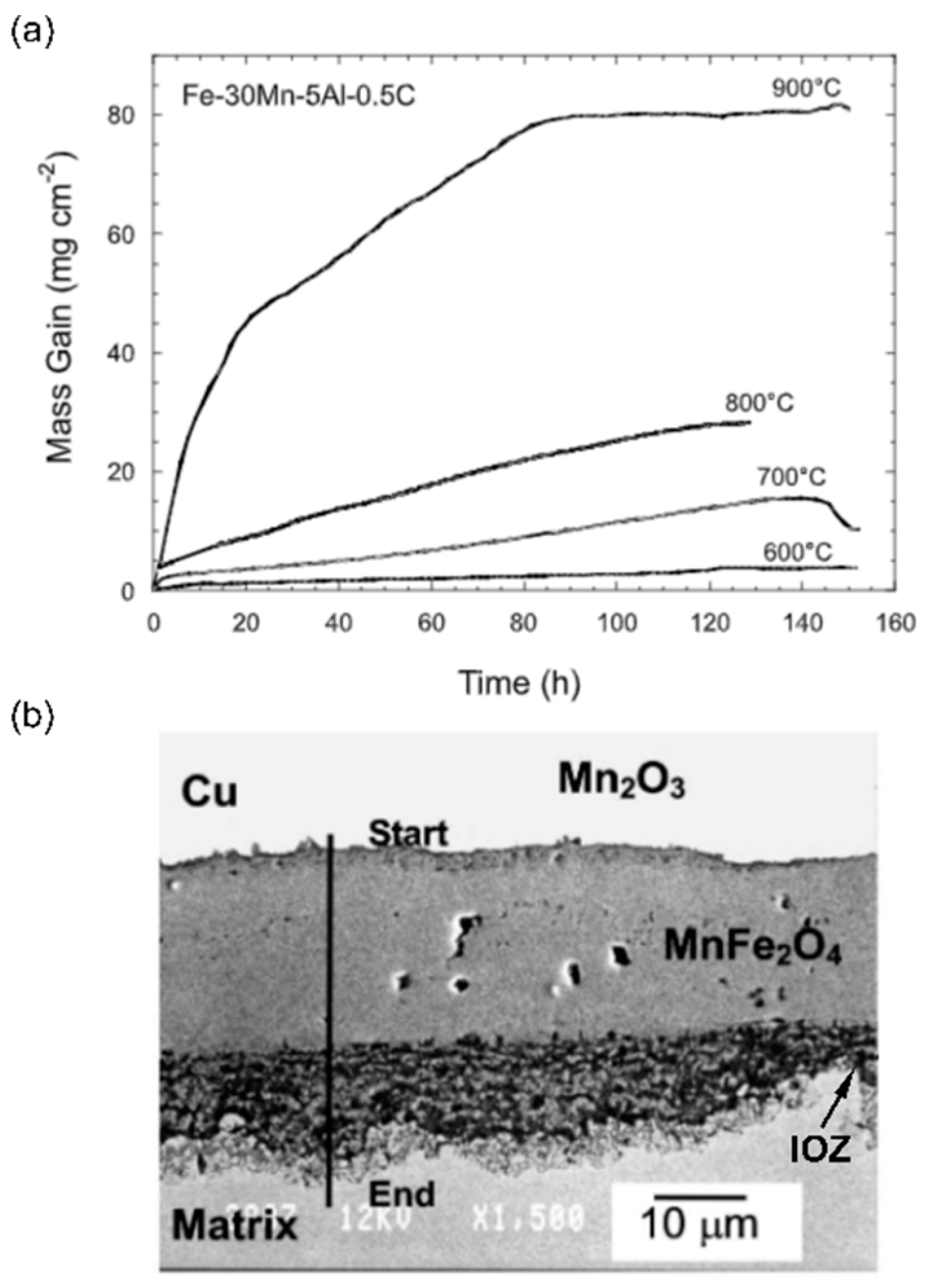 Metals 11 00287 g025
