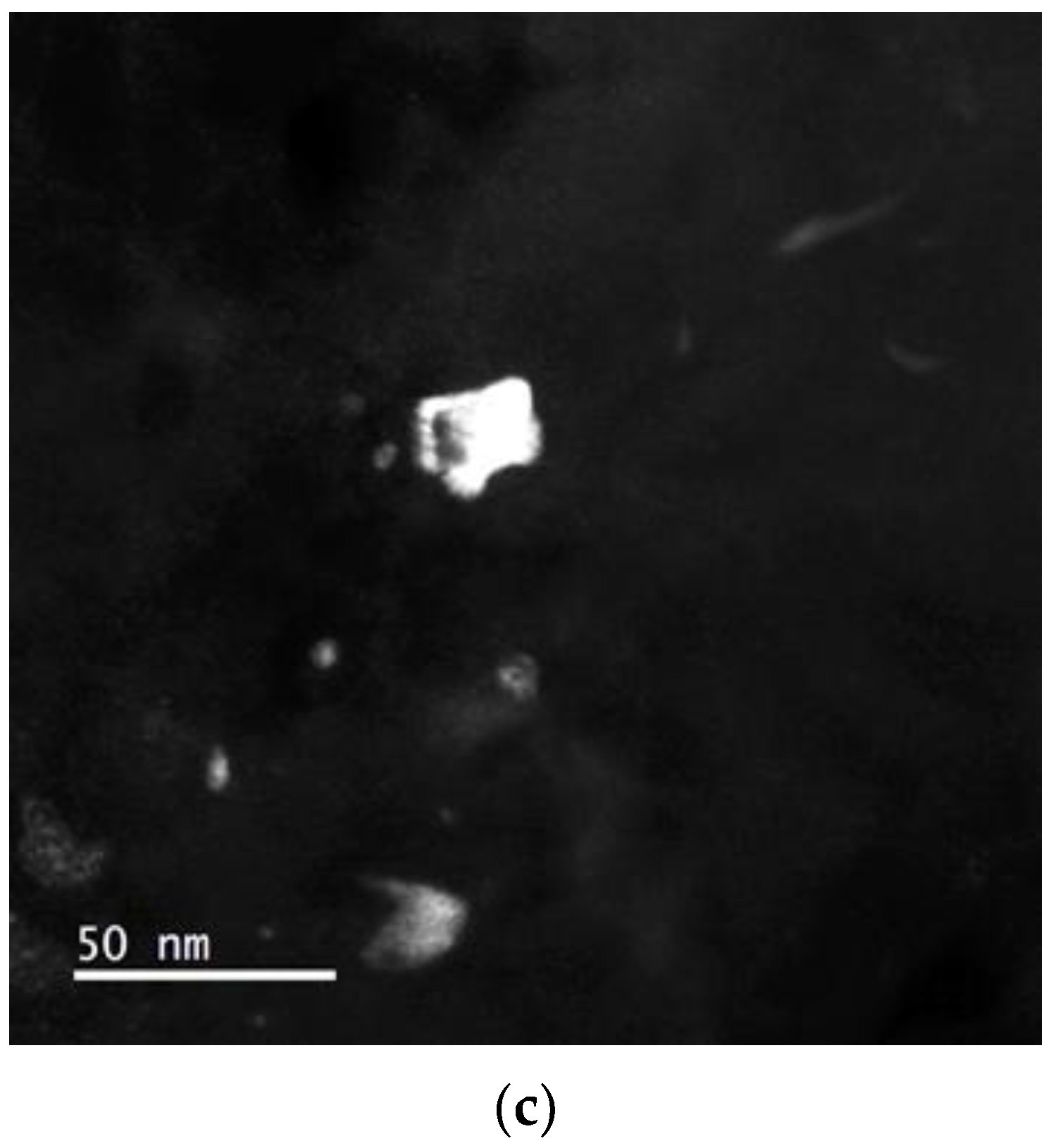 Metals 11 00296 g007b