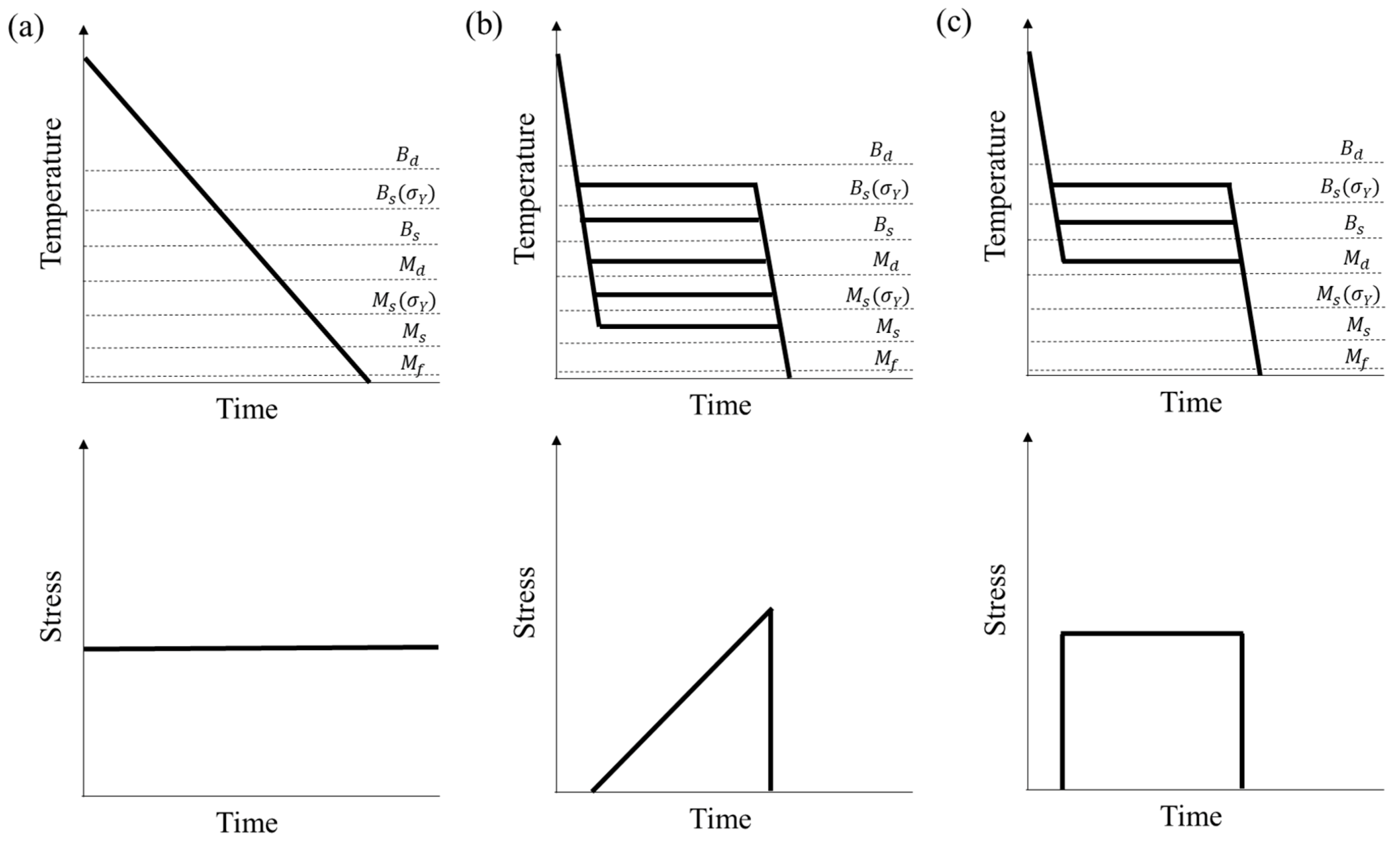Metals 11 00299 g004