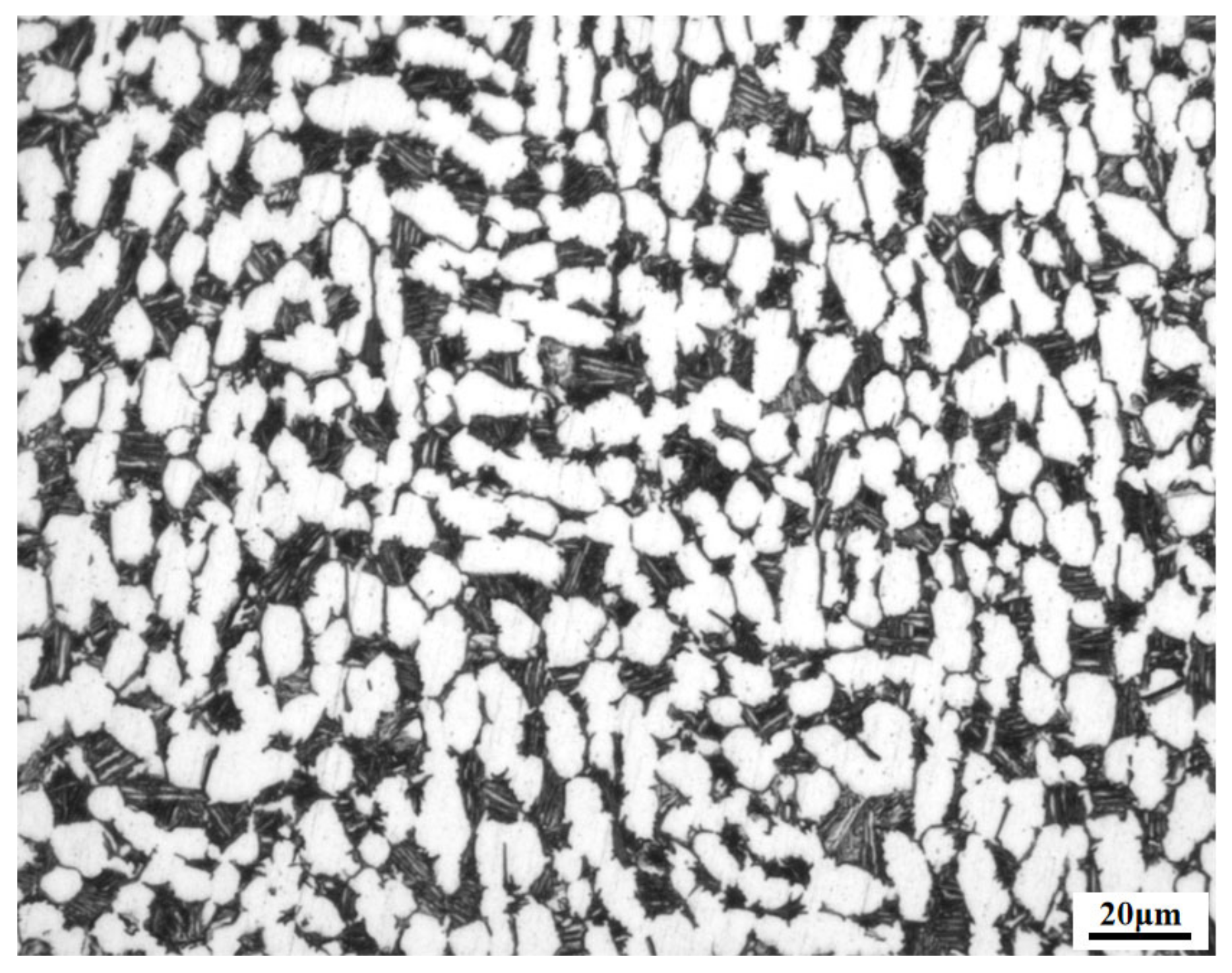 Metals 11 00303 g001