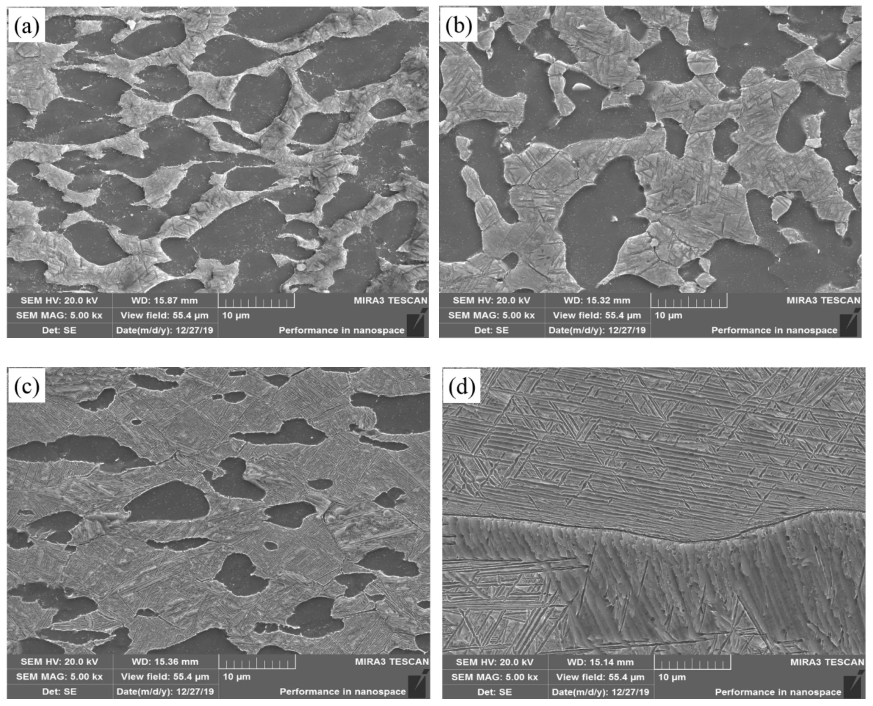 Metals 11 00303 g005