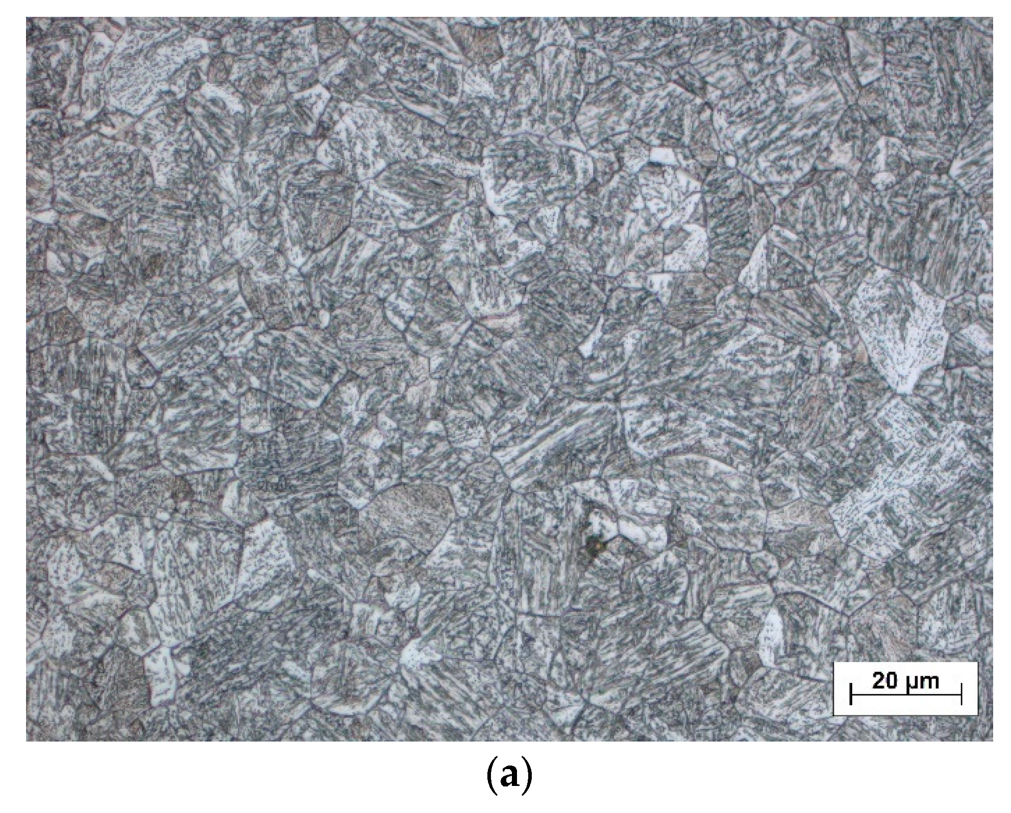 Metals 11 00305 g007a Metals 11 00305 g007a