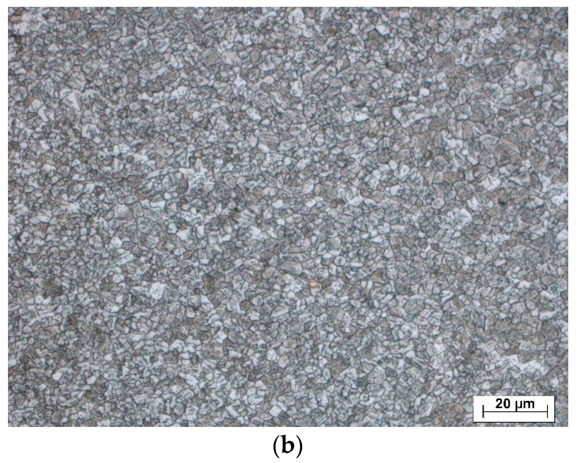 Metals 11 00305 g007b Metals 11 00305 g007b