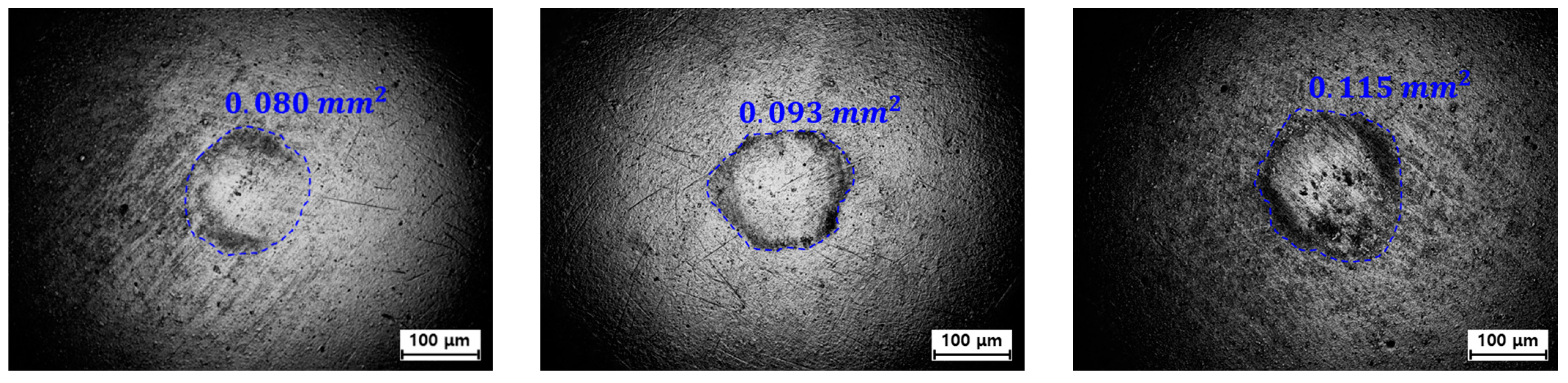 Metals 11 00306 g007