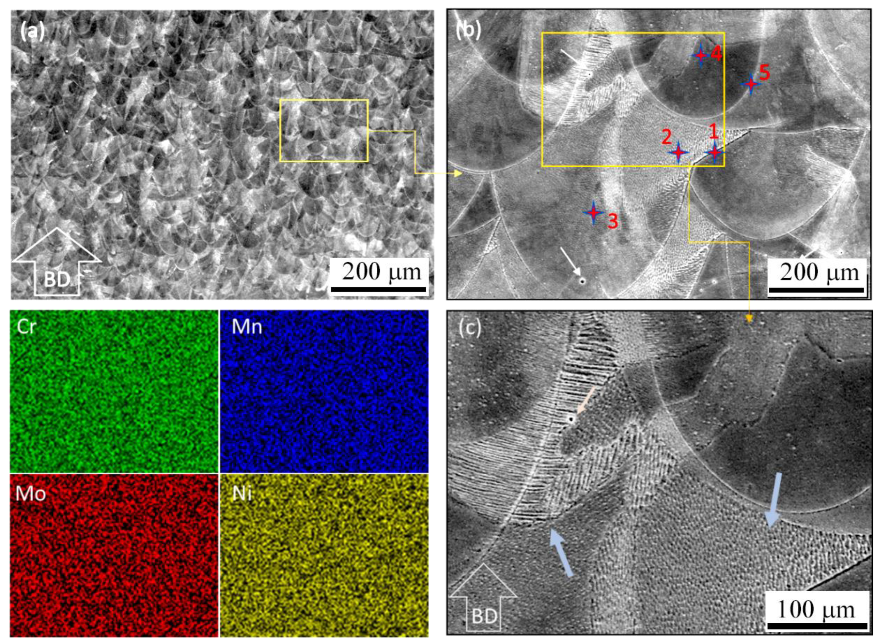 Metals 11 00327 g004 Metals 11 00327 g004