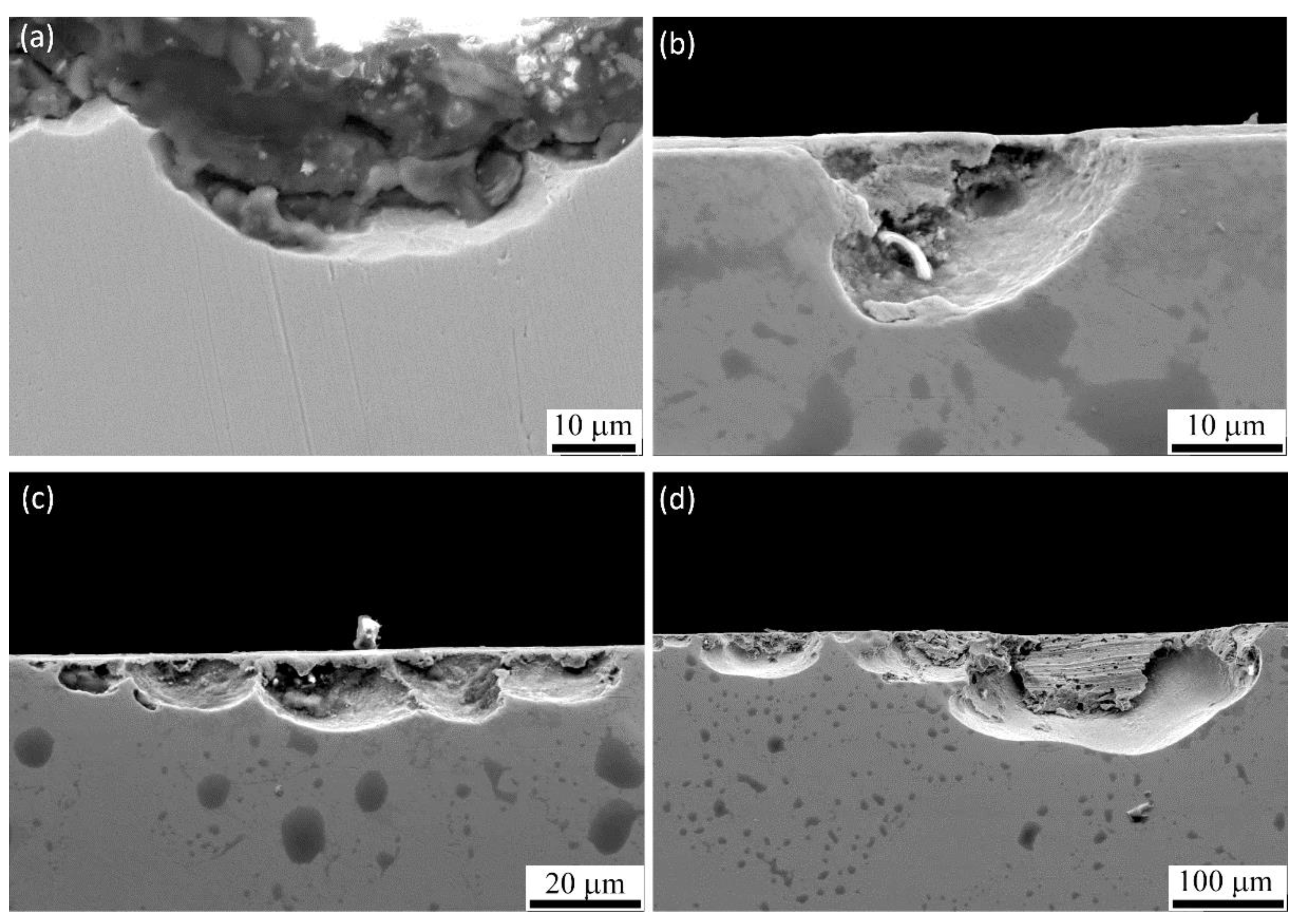 Metals 11 00327 g010 Metals 11 00327 g010