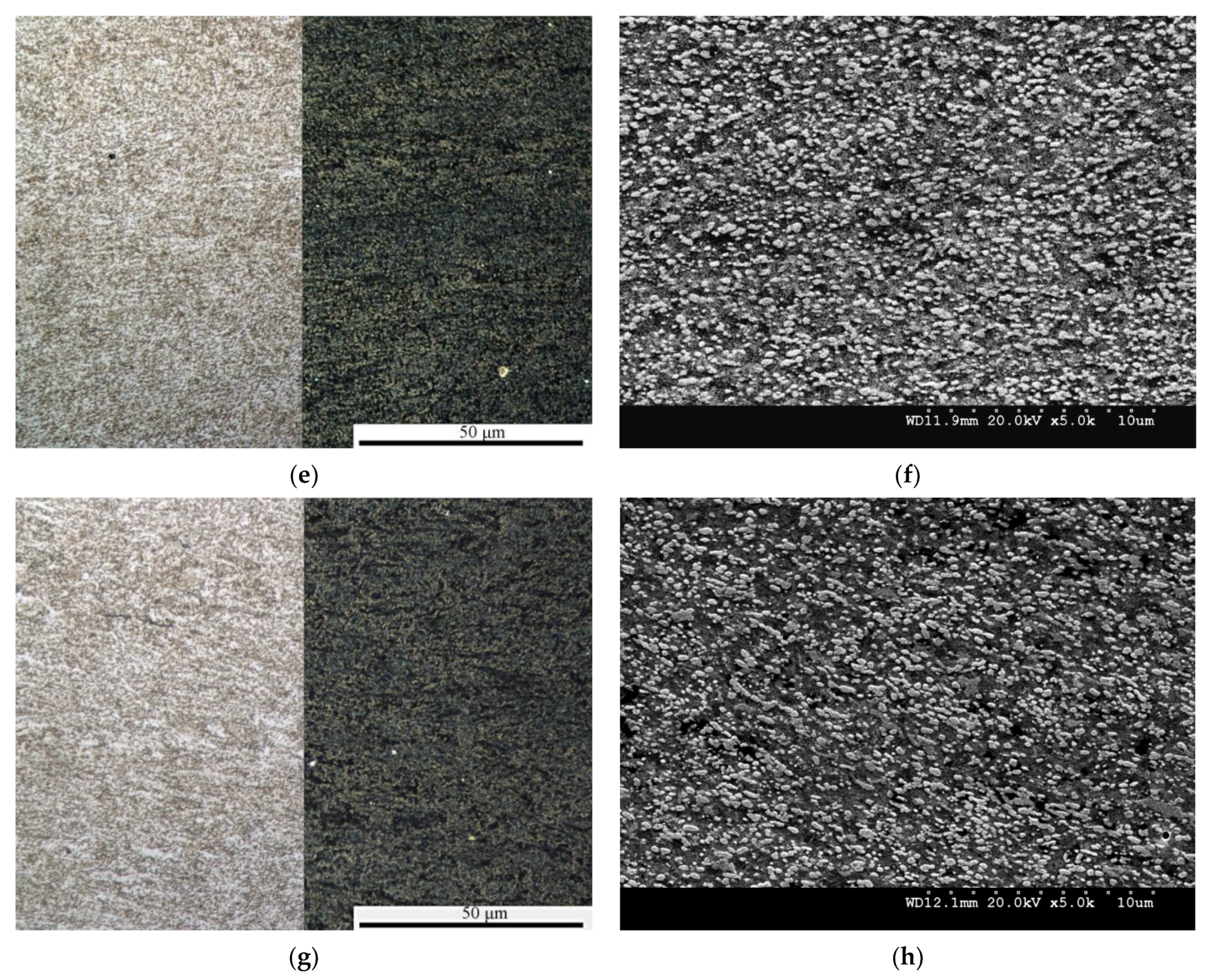 Metals 11 00328 g004b Metals 11 00328 g004b