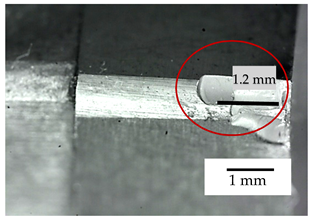 Metals 11 00333 i008 Metals 11 00333 i008