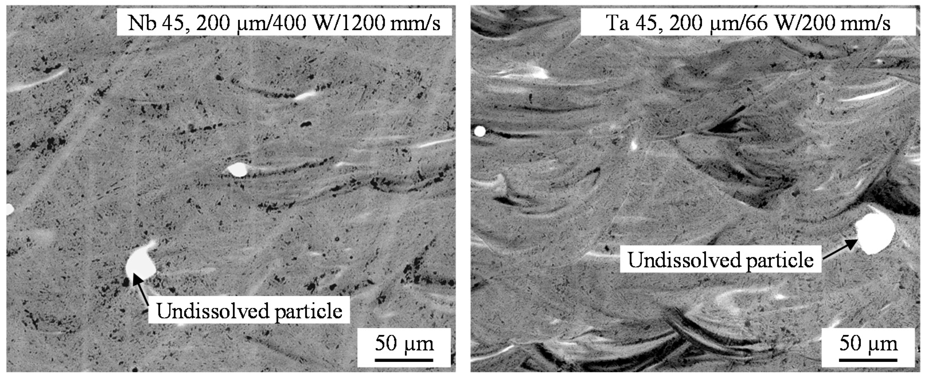 Metals 11 00336 g007