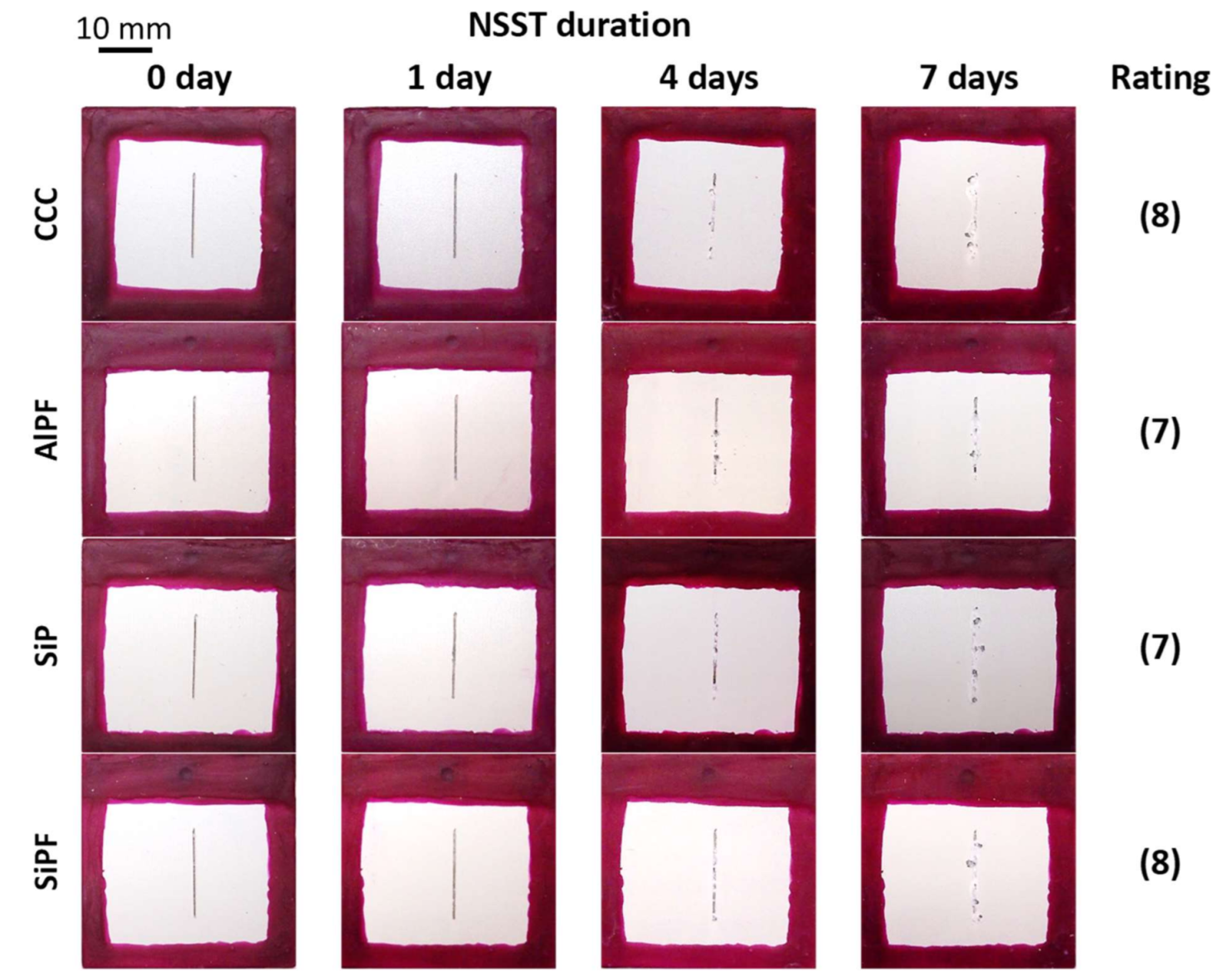 Metals 11 00337 g004