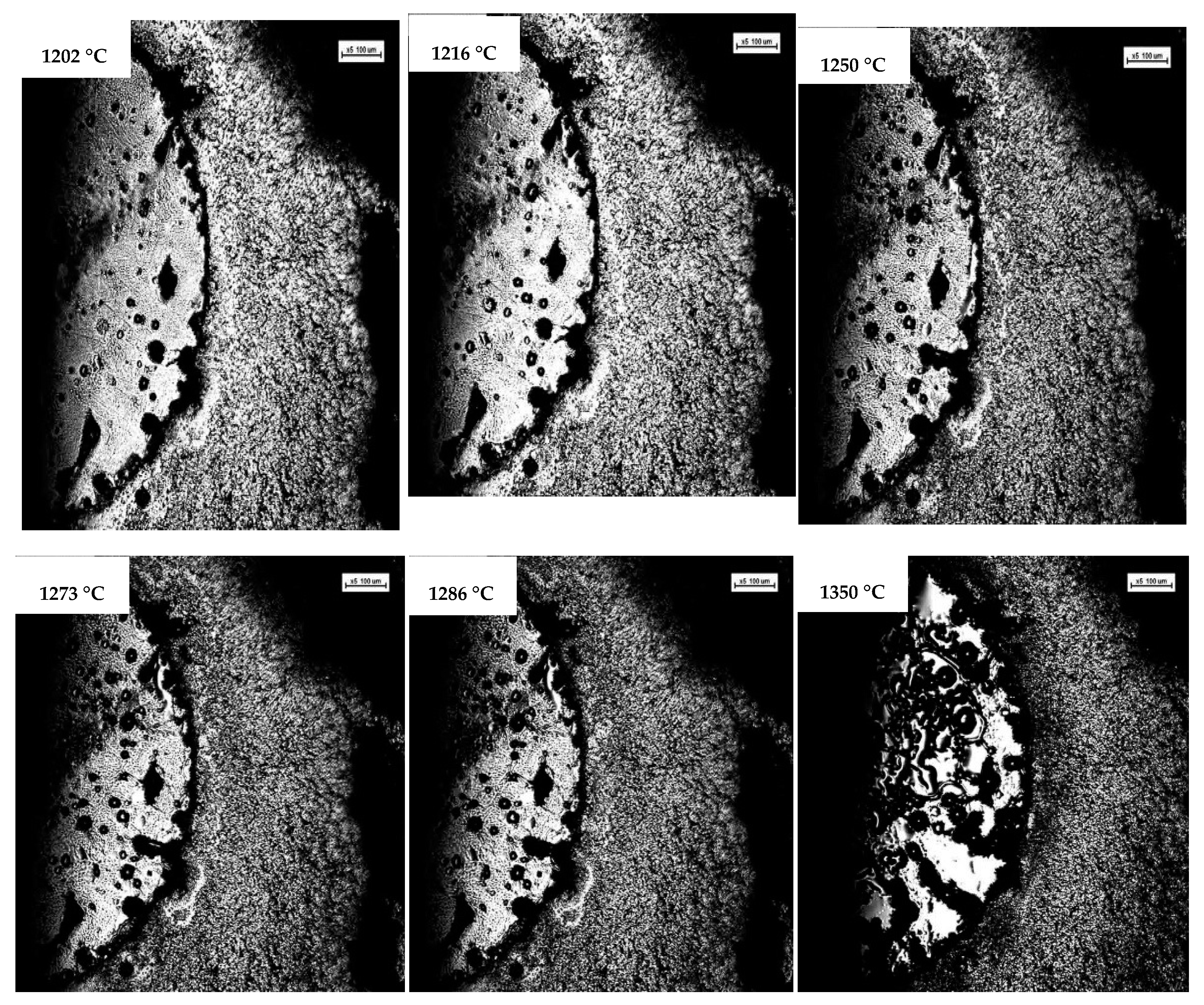 Metals 11 00341 g007 Metals 11 00341 g007