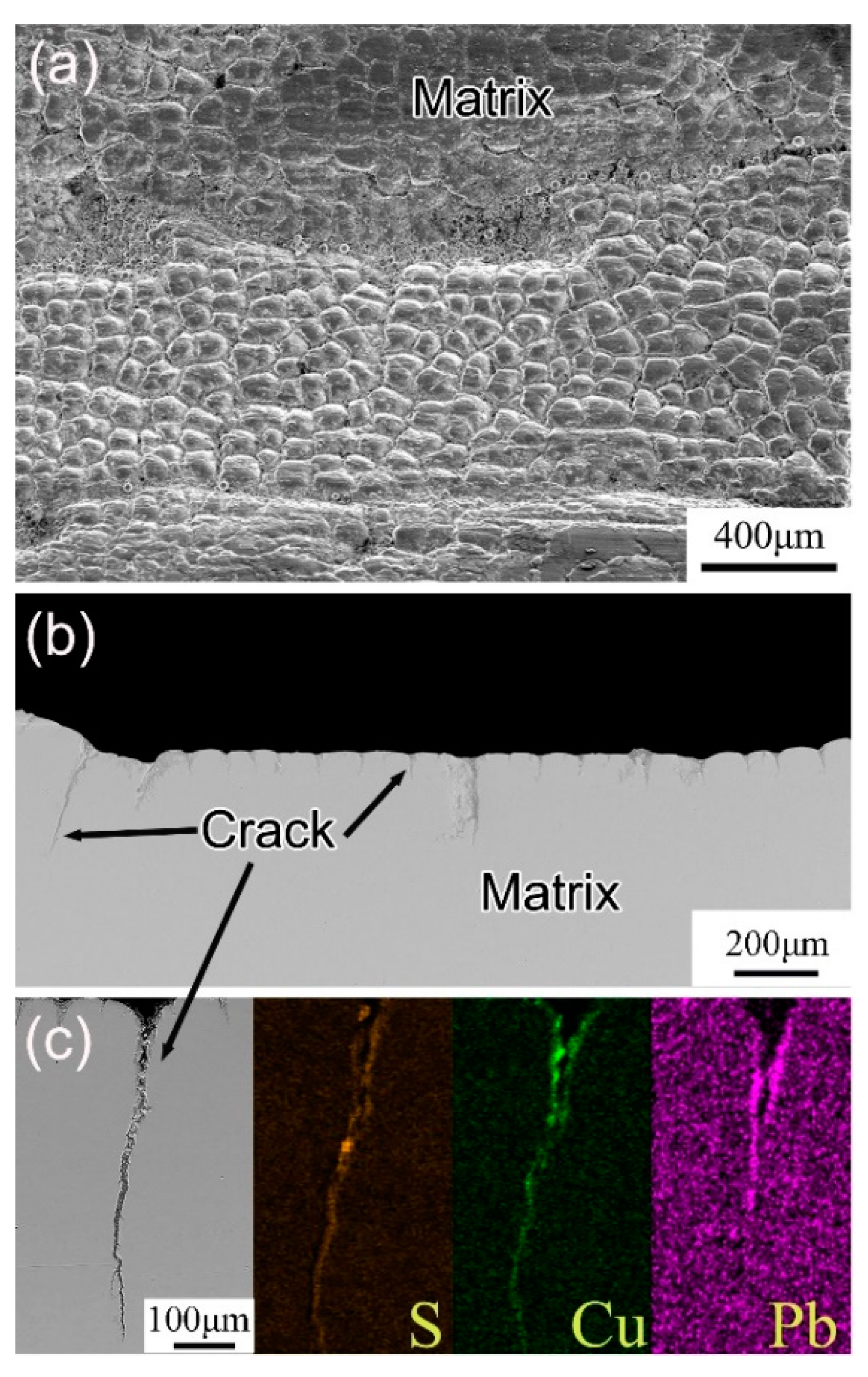 Metals 11 00348 g004 Metals 11 00348 g004