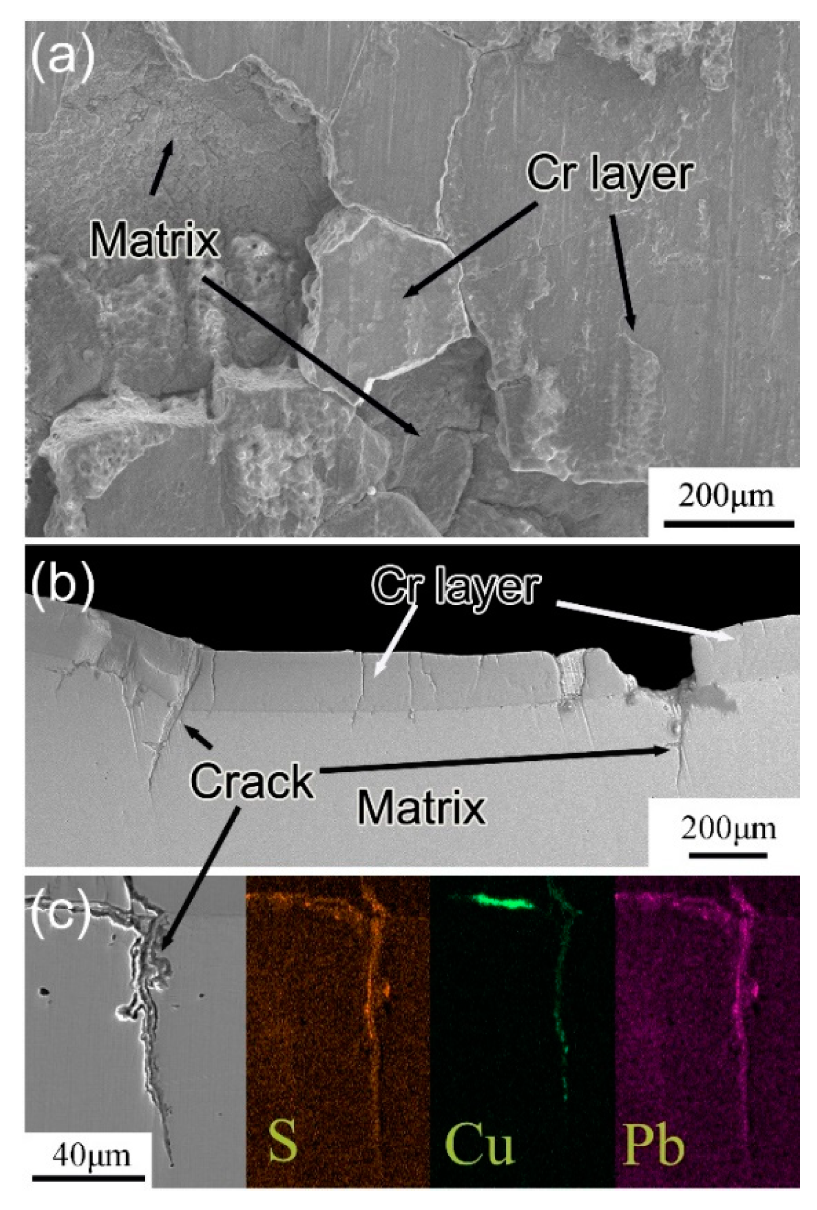 Metals 11 00348 g006 Metals 11 00348 g006
