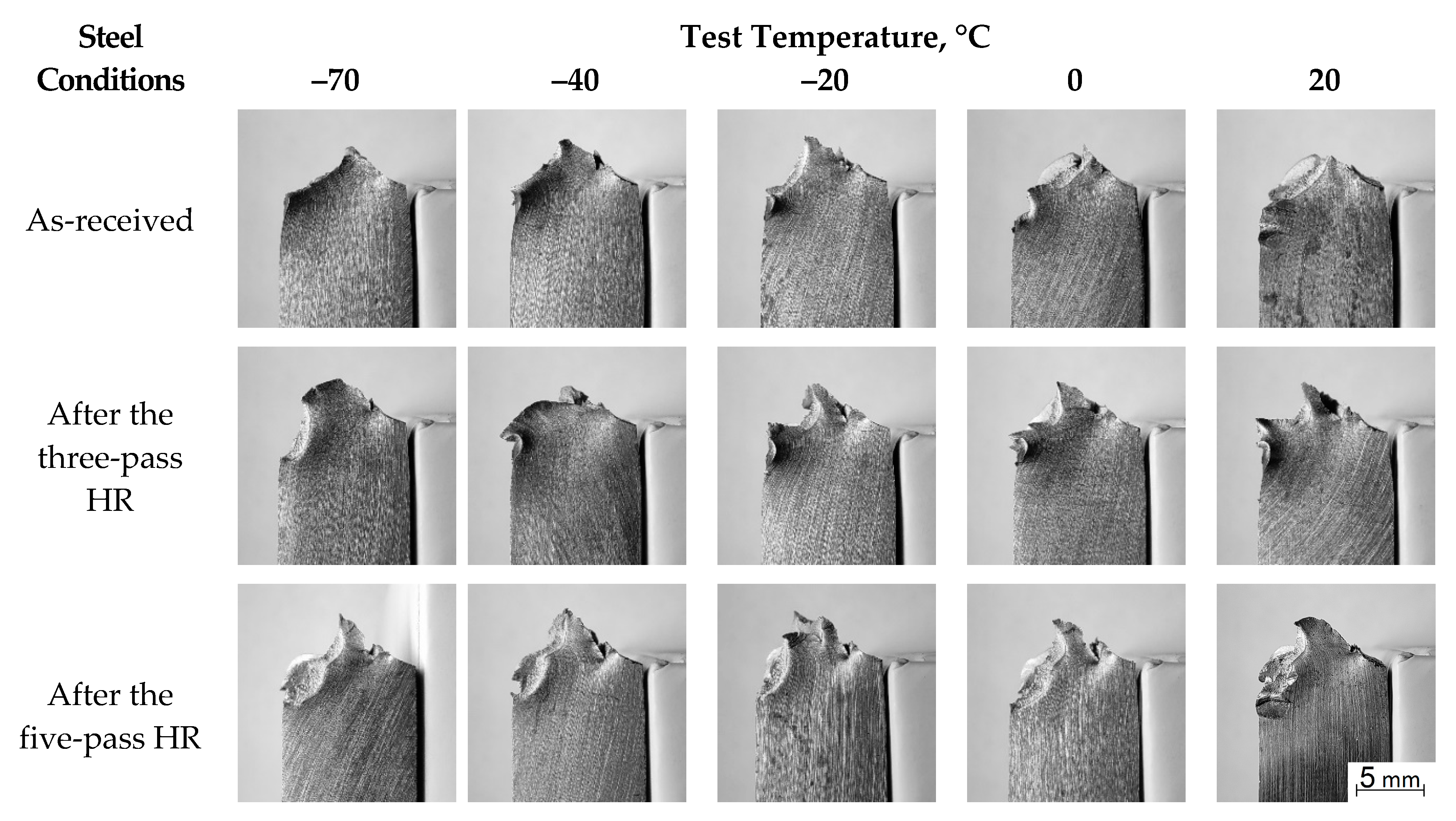 Metals 11 00352 g006