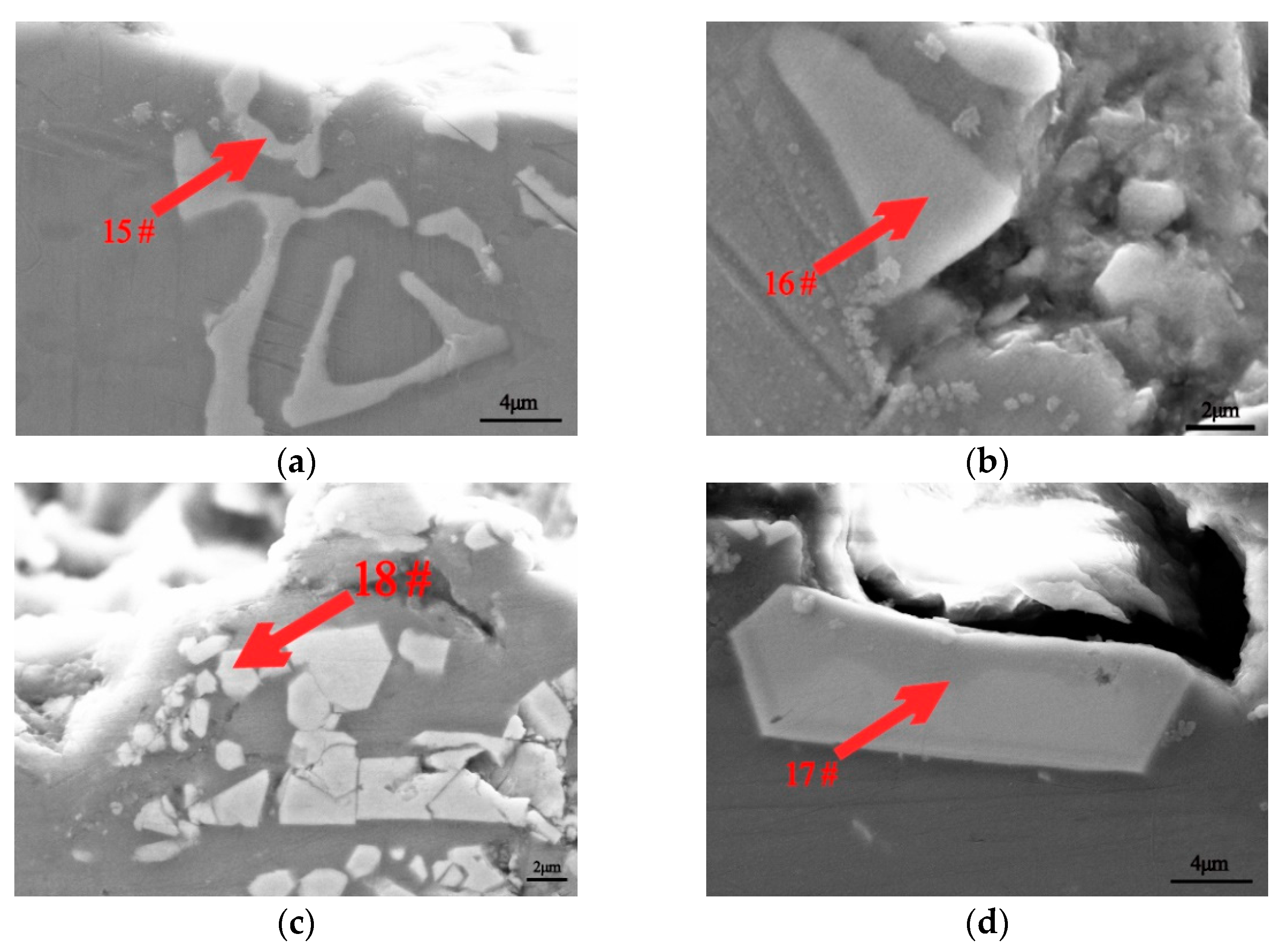 Metals 11 00357 g004 550