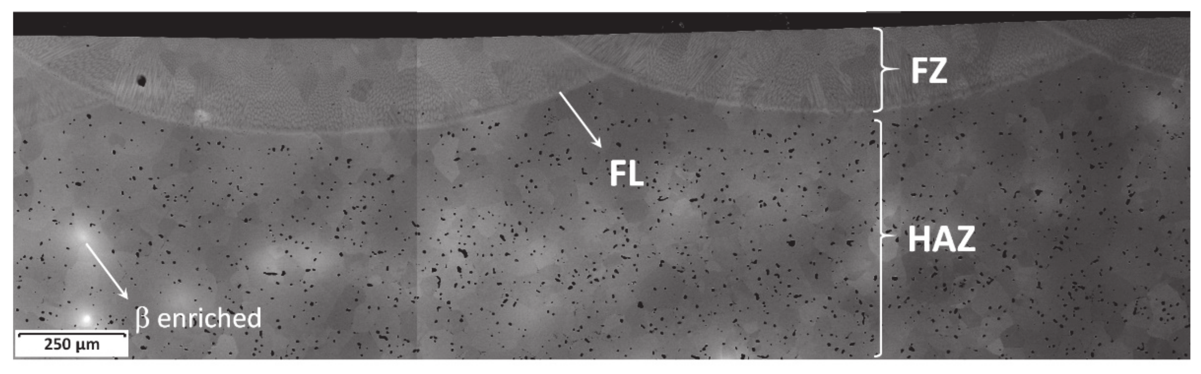 Metals 11 00367 g002