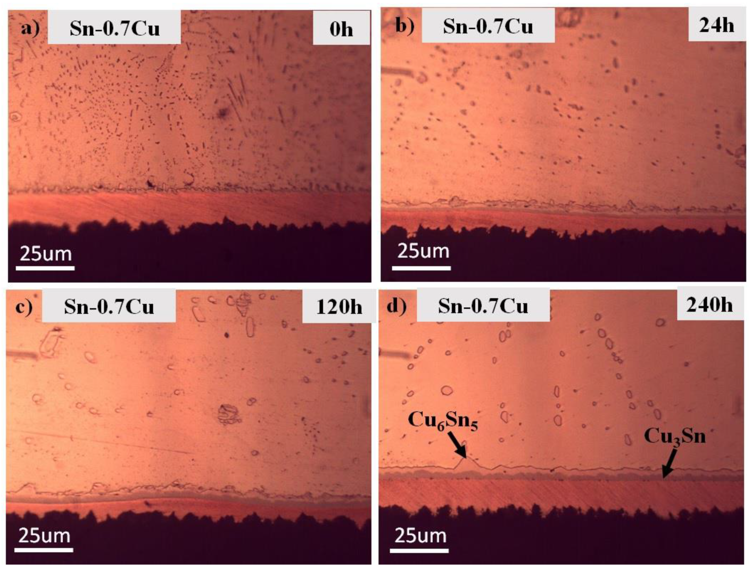 Metals 11 00380 g007