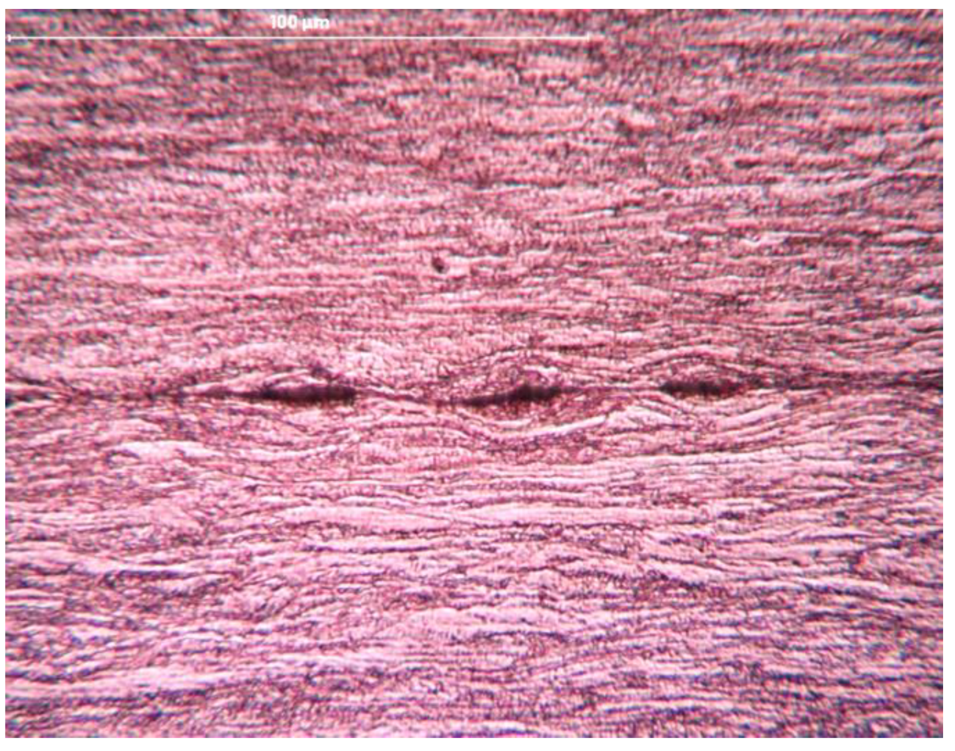 Metals 11 00389 g014