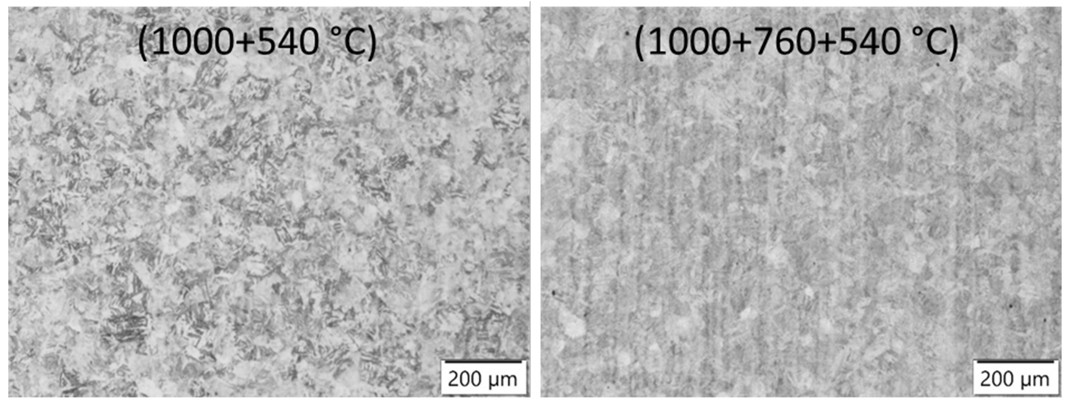 Metals 11 00392 g006a