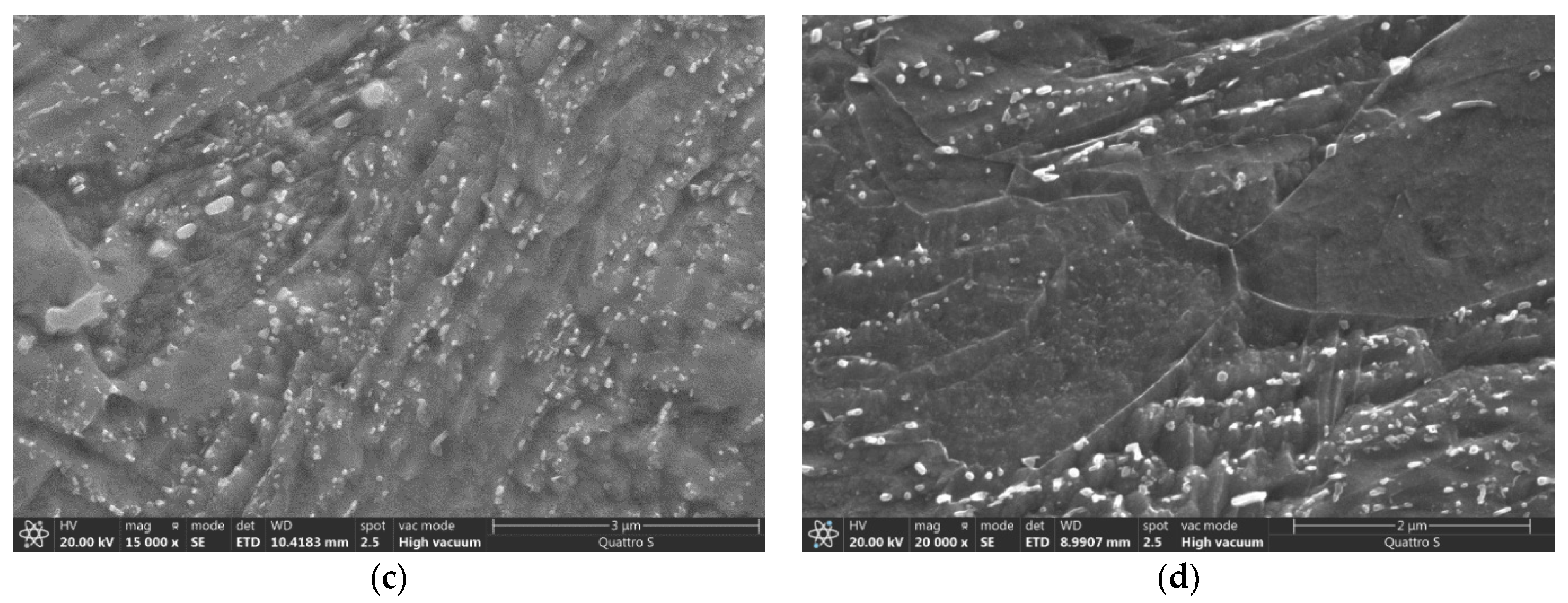 Metals 11 00392 g009b