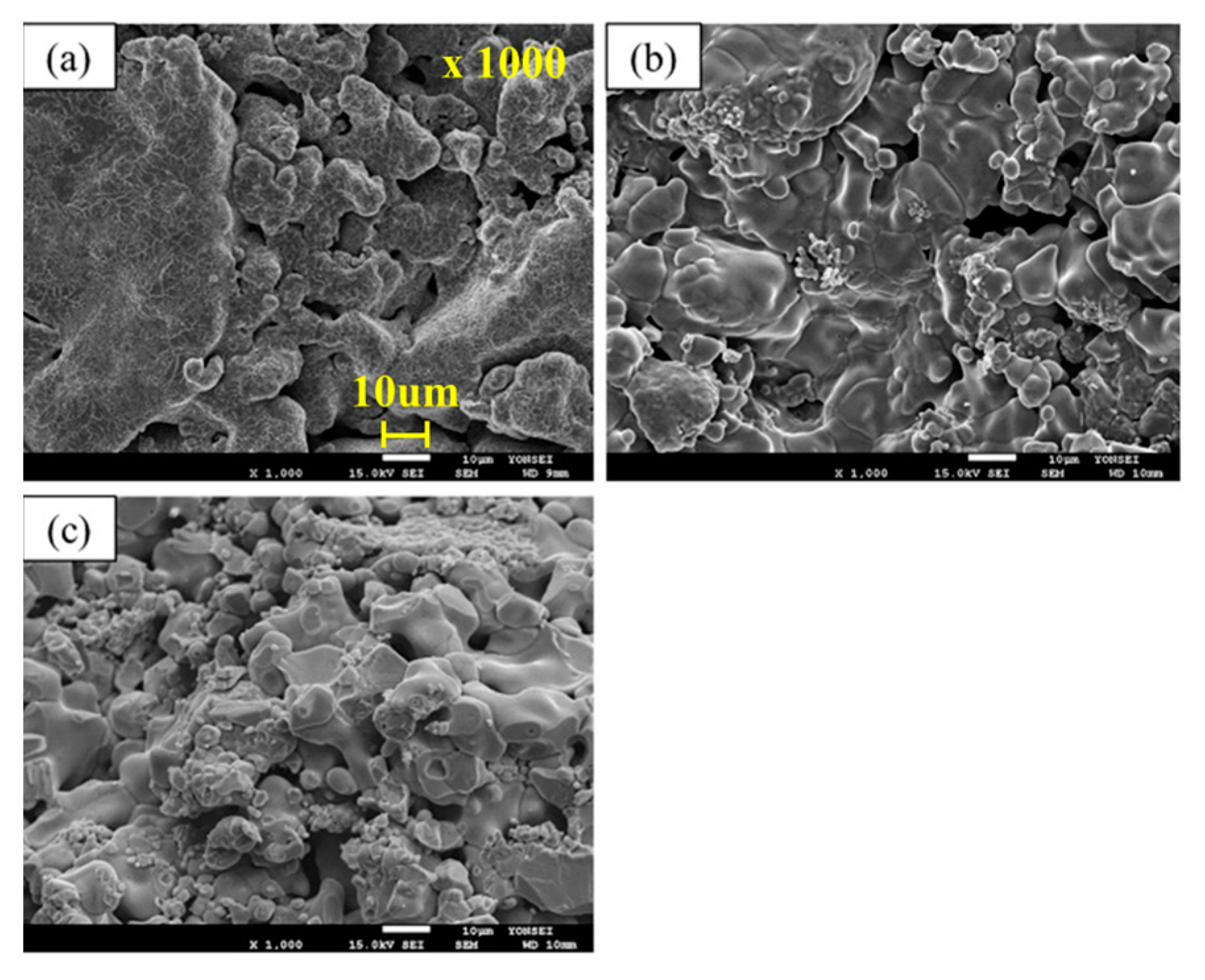 Metals 11 00414 g010