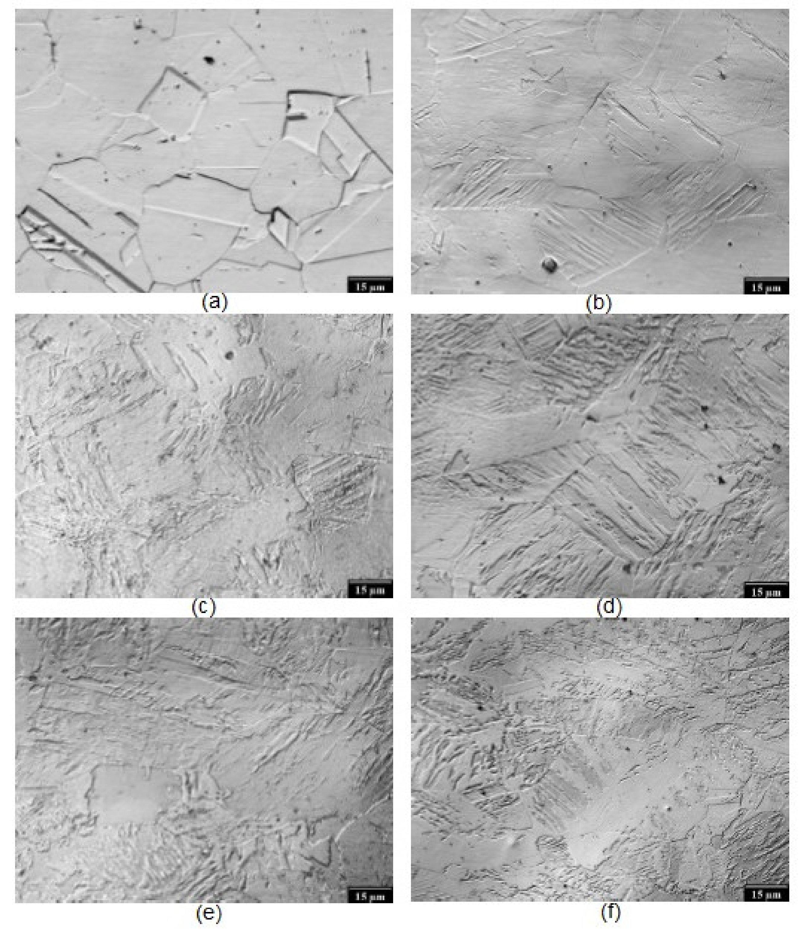 Metals 11 00429 g003 Metals 11 00429 g003