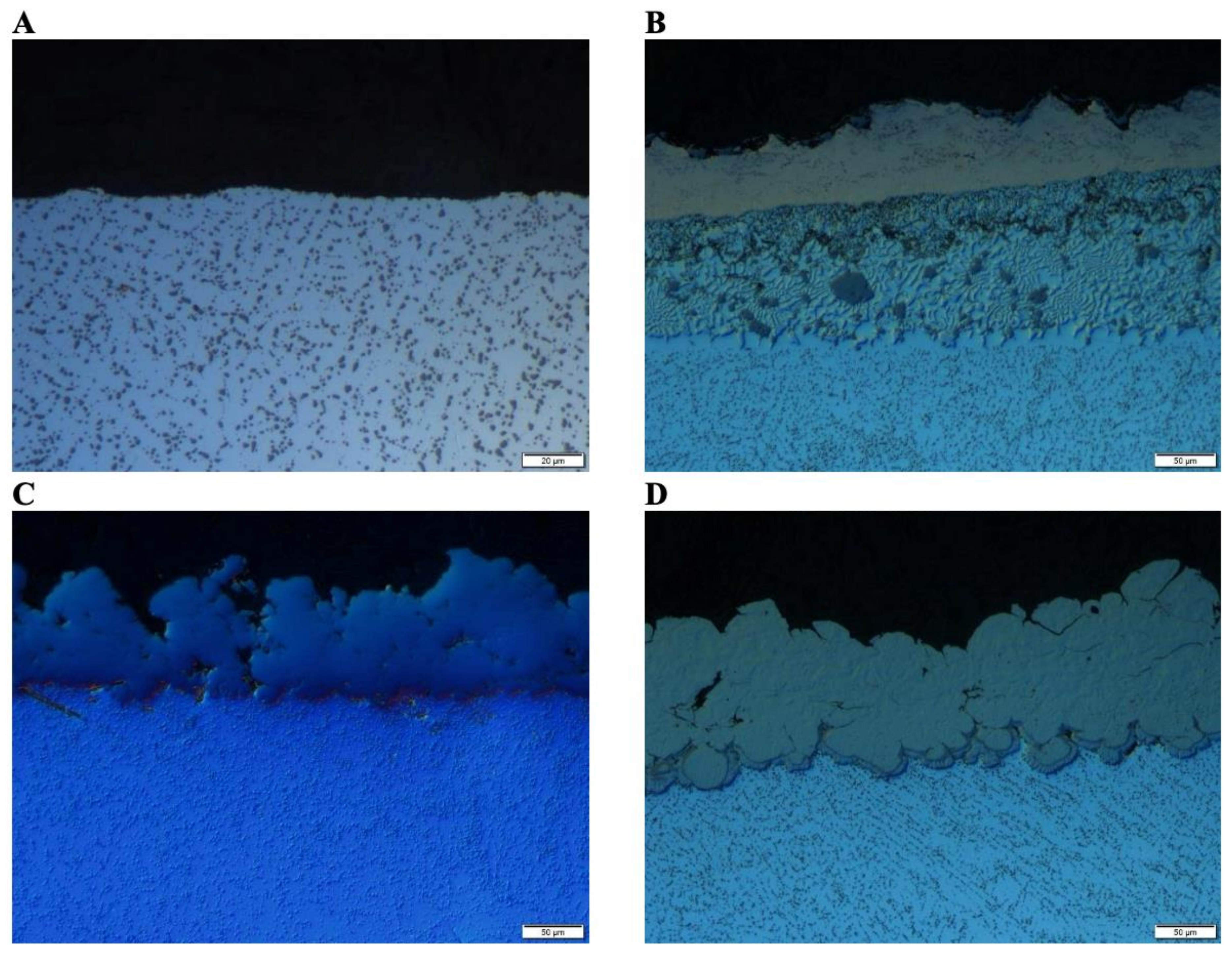 Metals 11 00432 g005