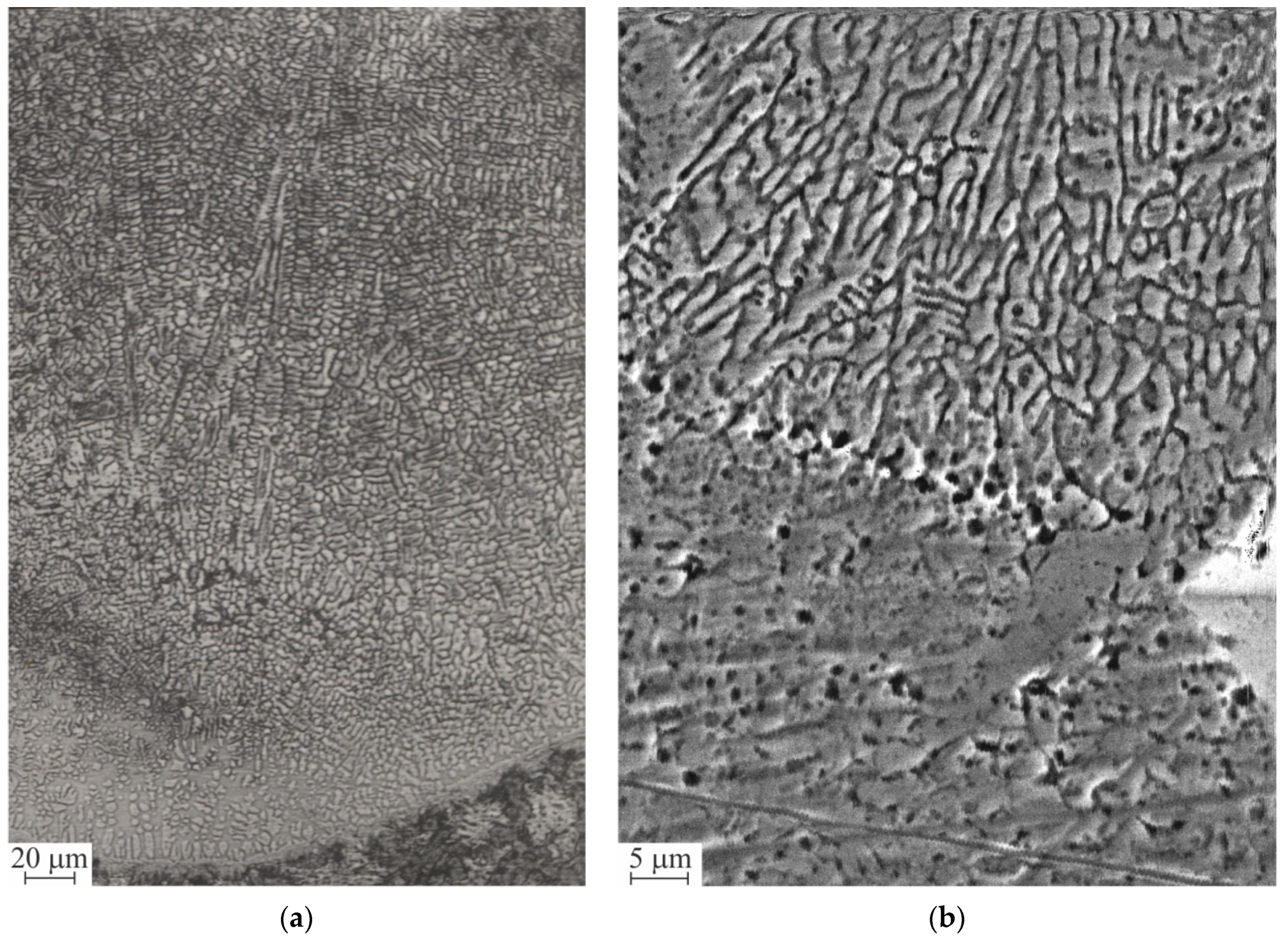 Metals 11 00434 g006