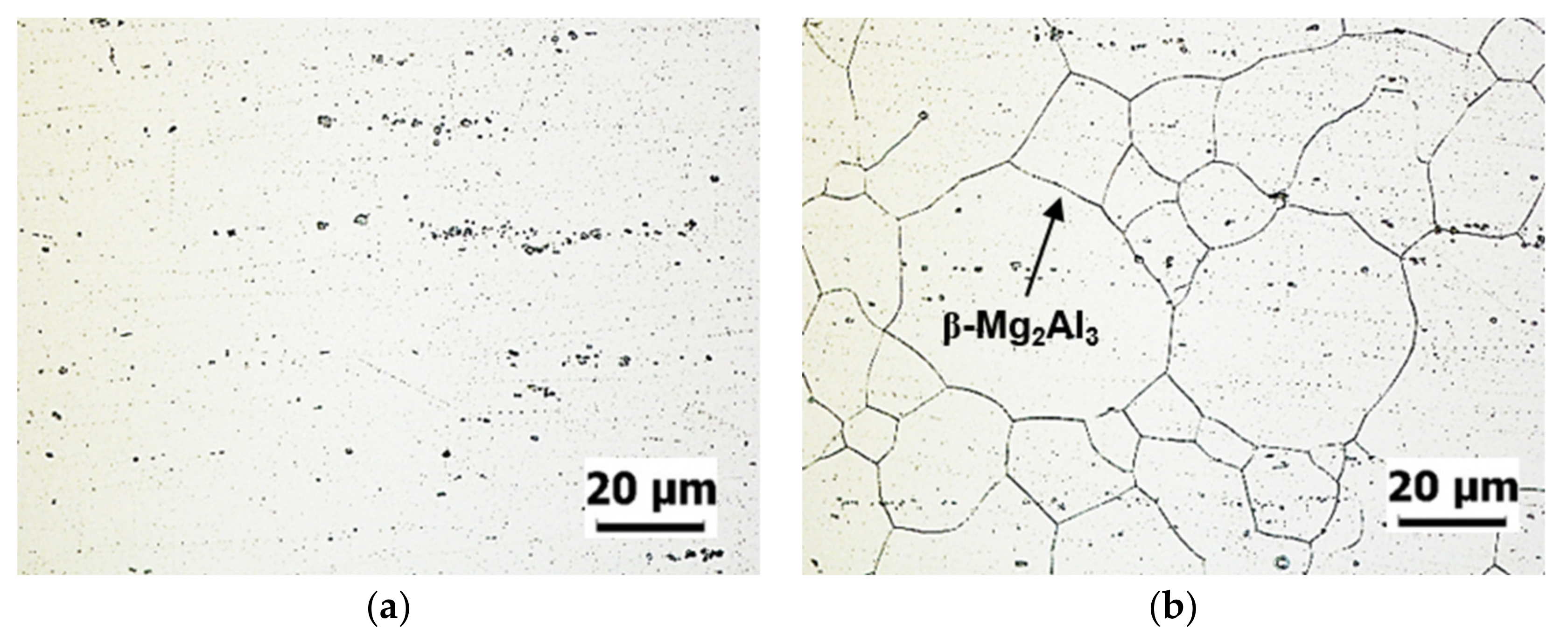 Metals 11 00445 g002