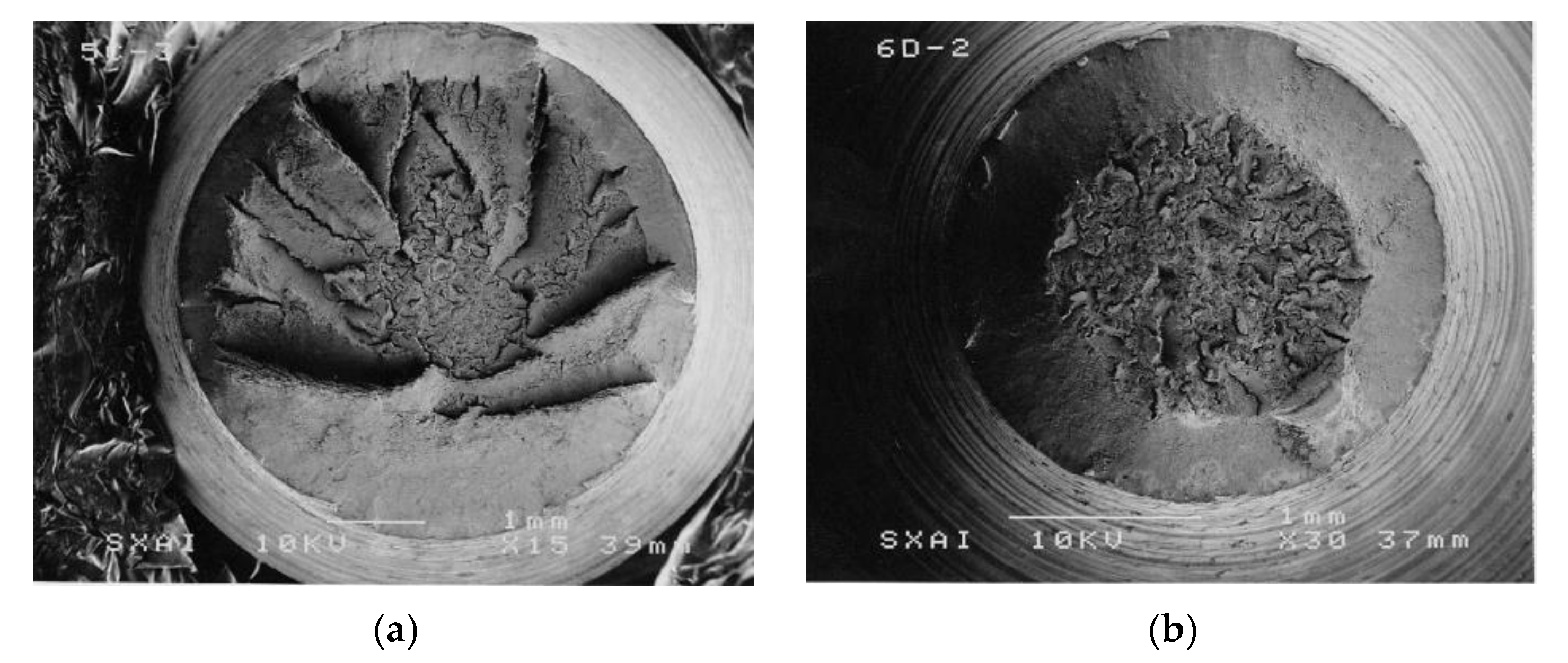 Metals 11 00451 g007