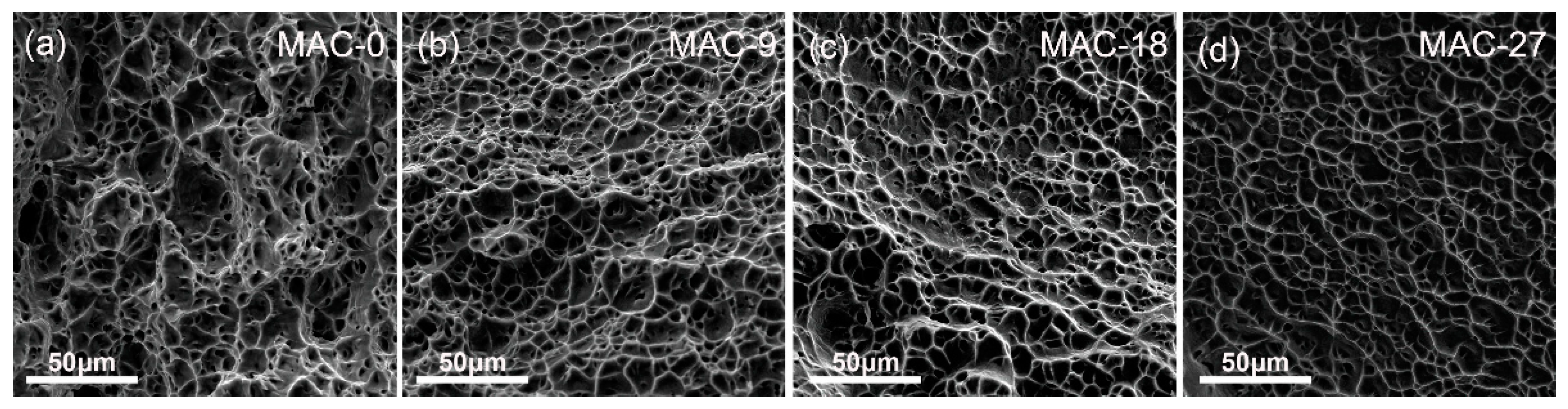 Metals 11 00454 g004