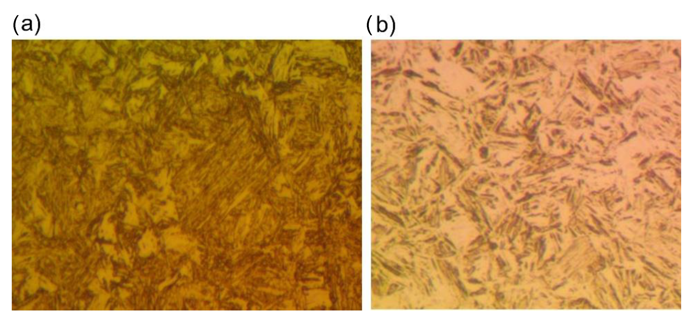 Metals 11 00457 g017 Metals 11 00457 g017