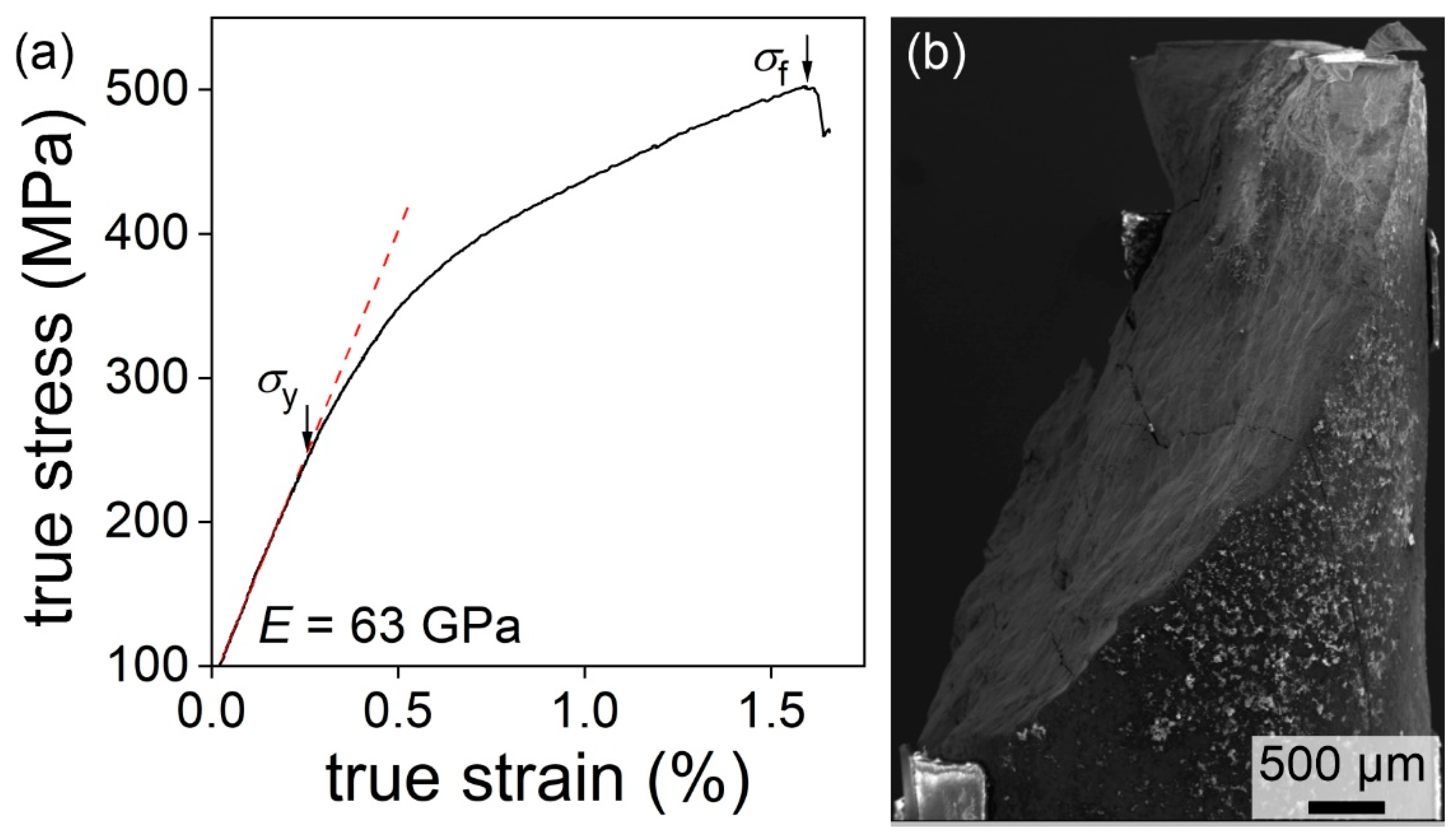 Metals 11 00461 g005