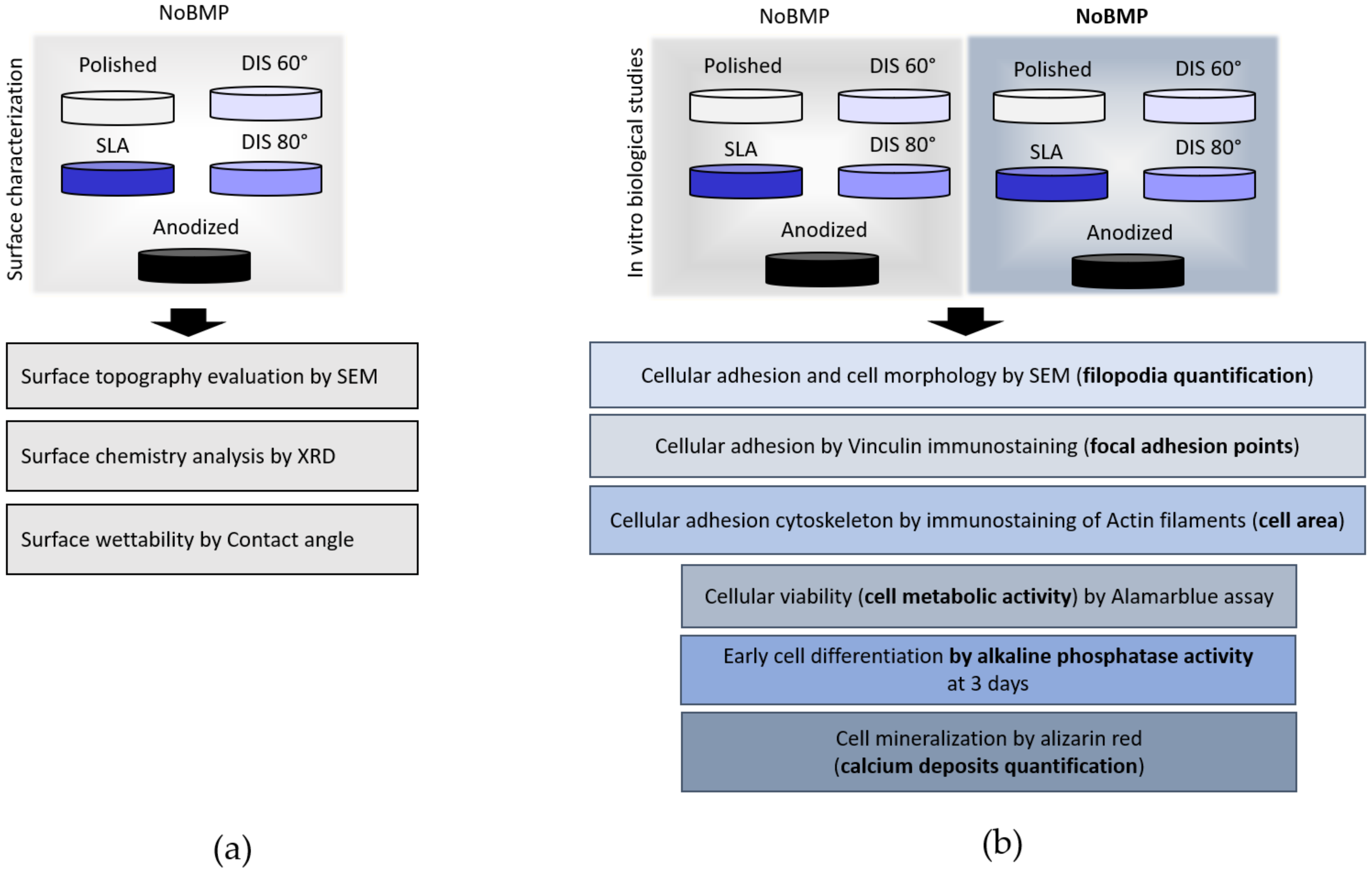 Frontiers  Antibacterial intraosseous implant surface coating that  responds to changes in the bacterial microenvironment