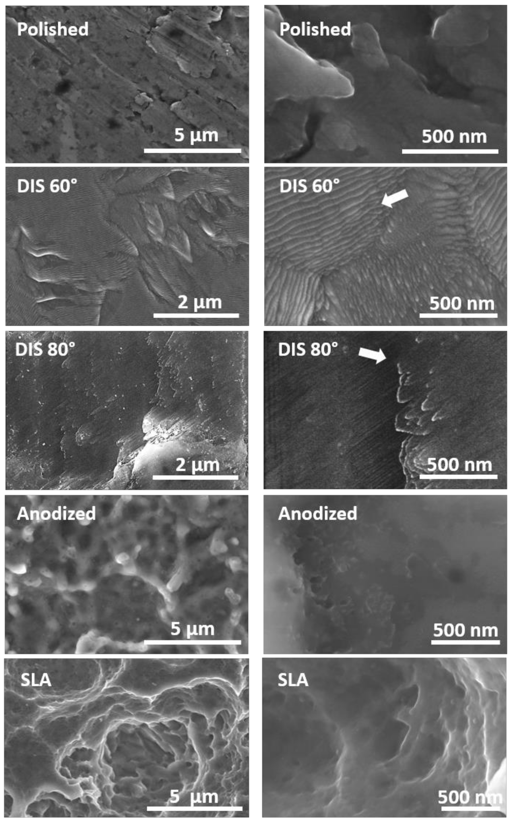 Metals 11 00464 g002