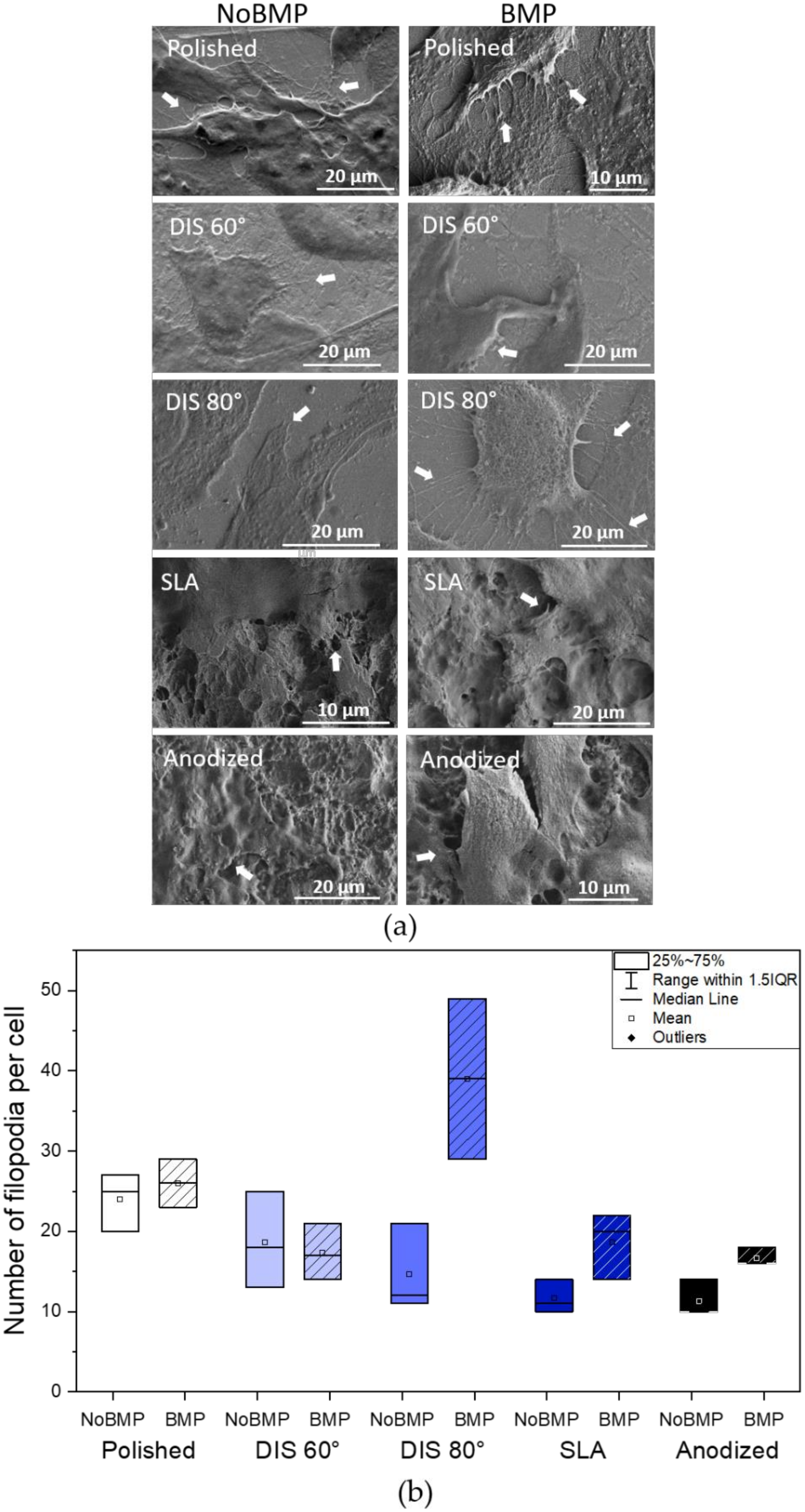 Metals 11 00464 g005