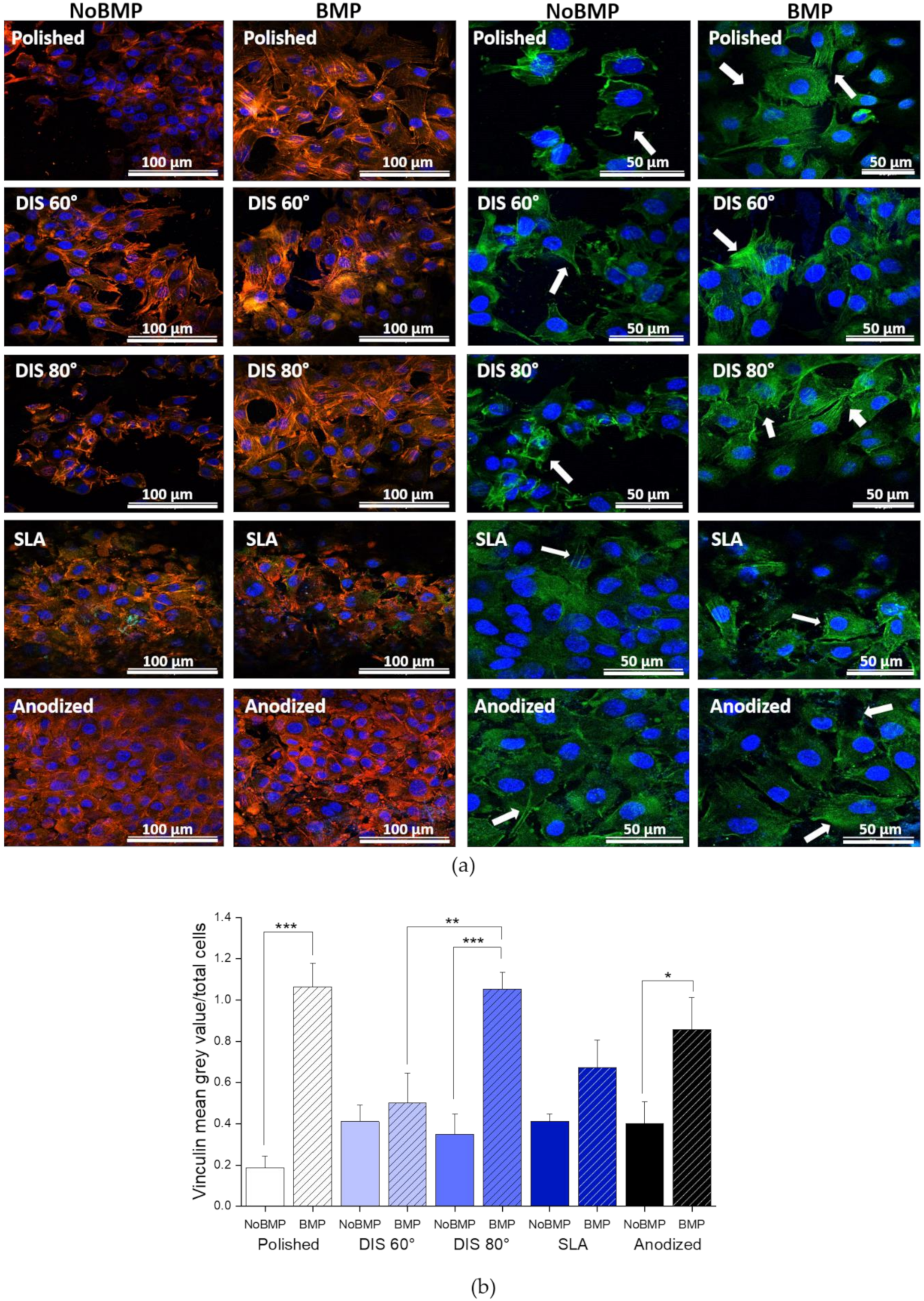 Metals 11 00464 g006