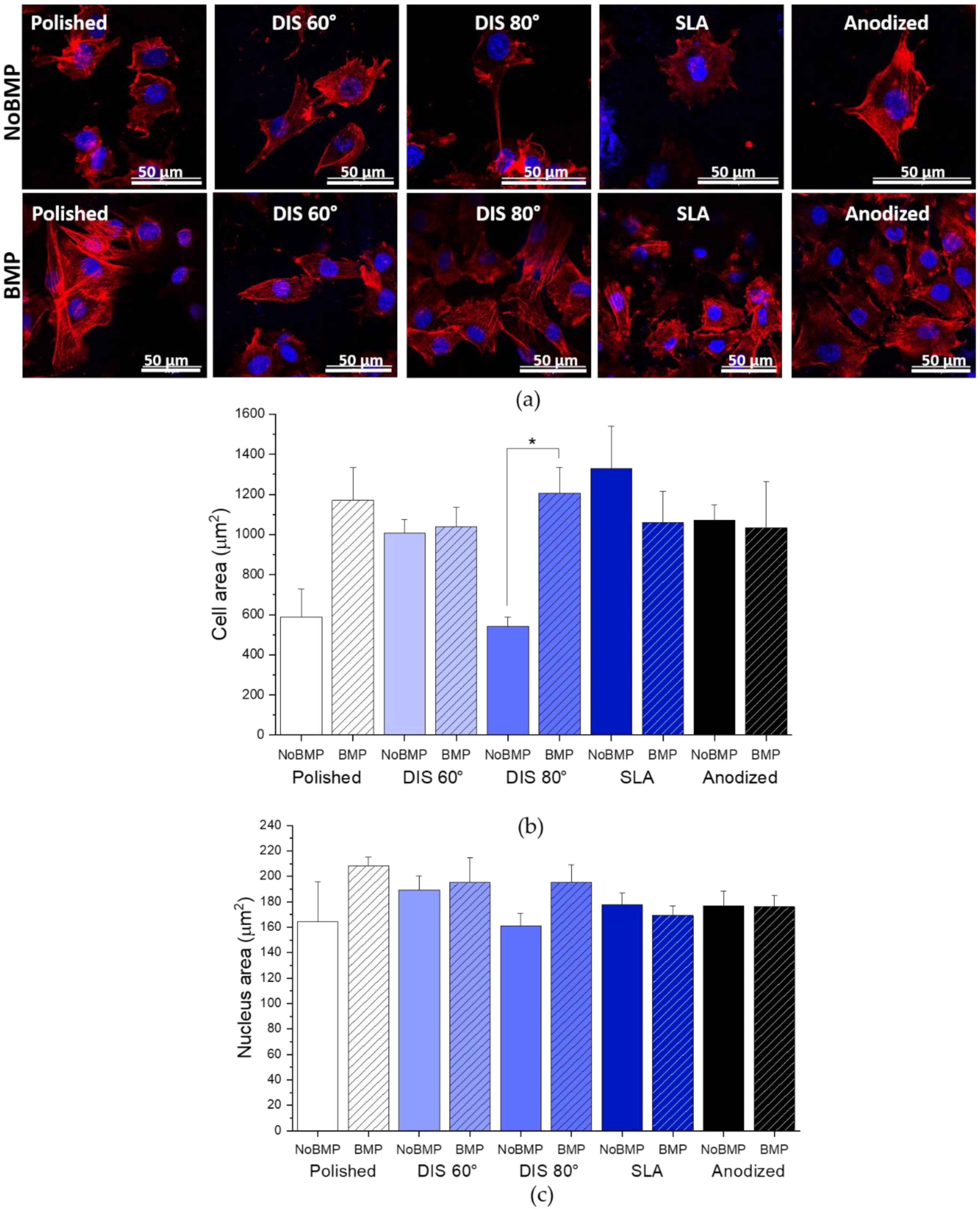 Metals 11 00464 g007